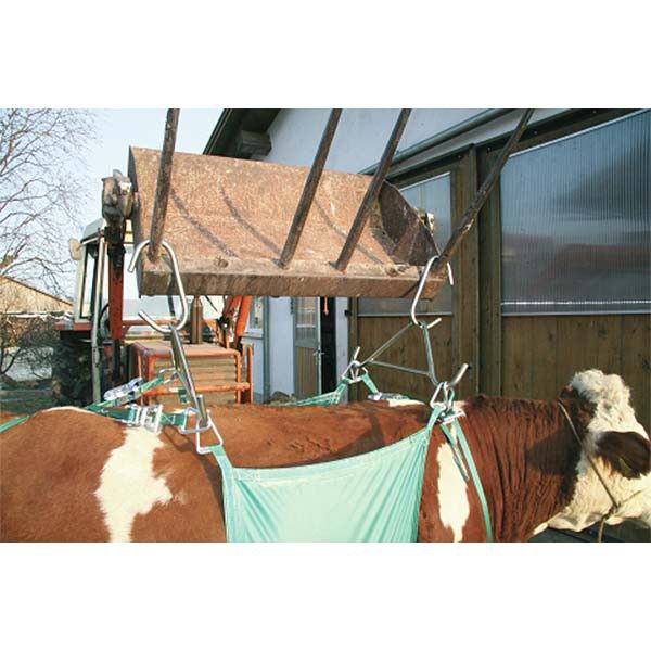 Kerbl dispozitiv de ridicare a vacilor de până la 1000 kg, în utilizare