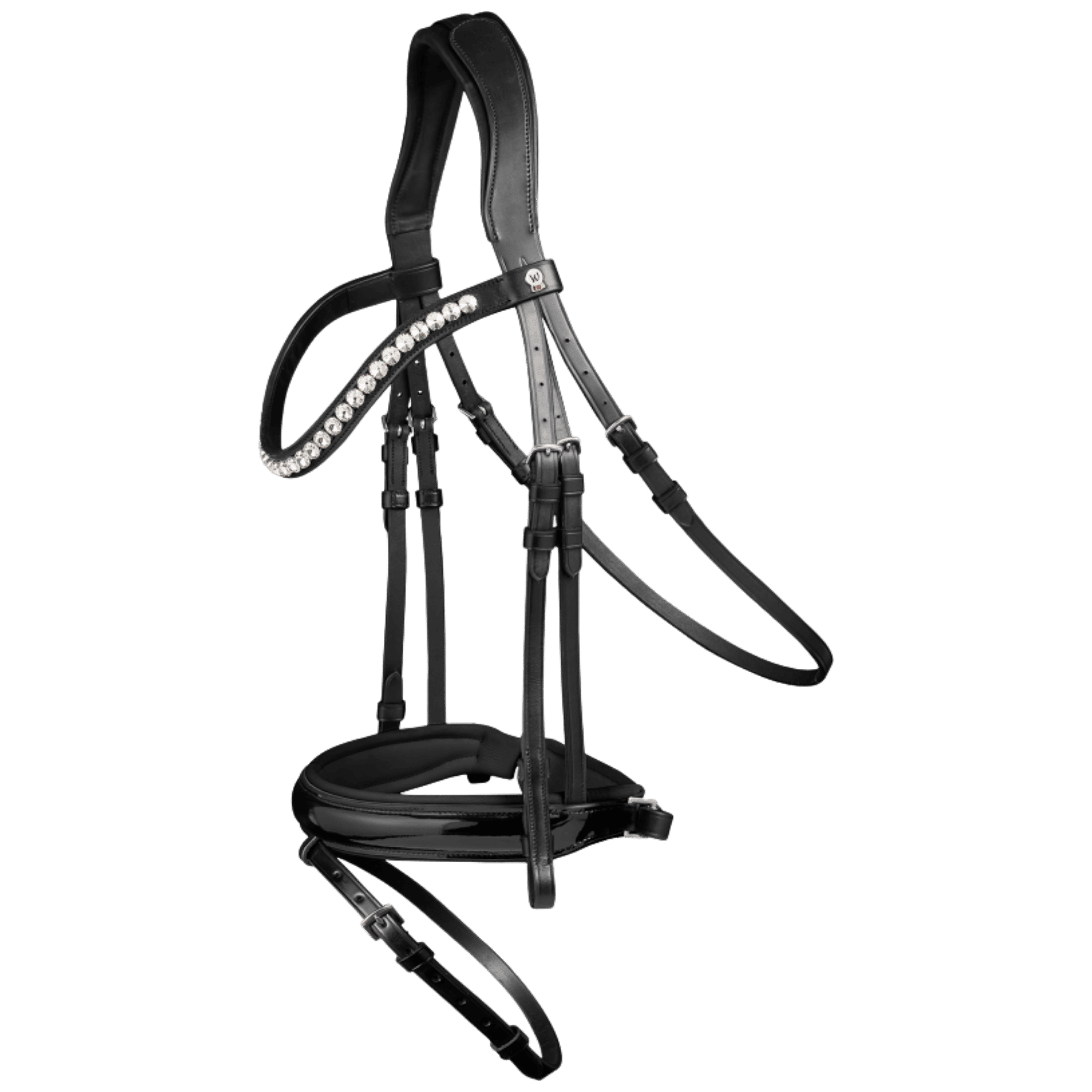 halter, horse, bridle, headstall, stirrups