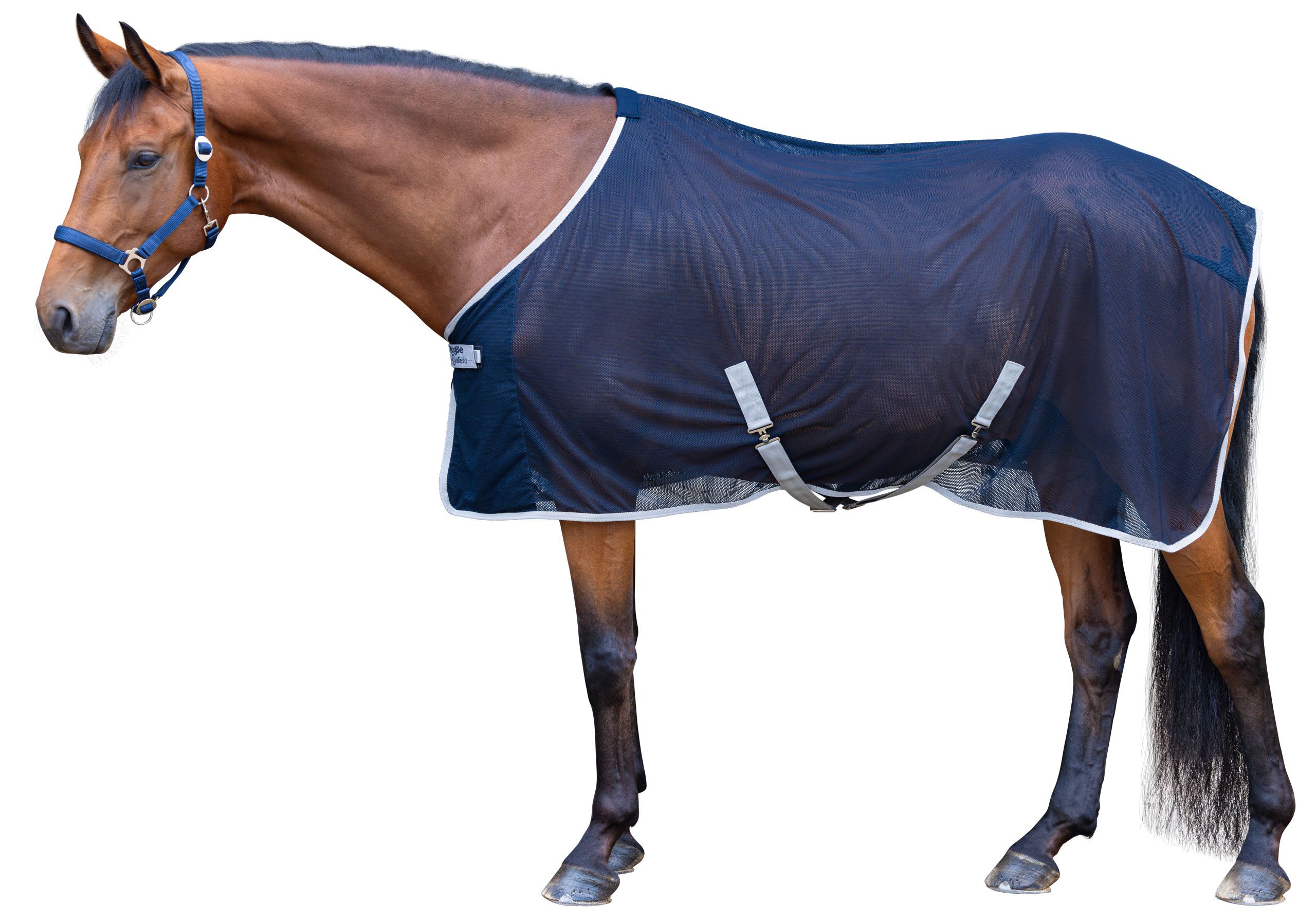 Pferd, Reitdecke, Pferderug, Fliegendecke, Blau