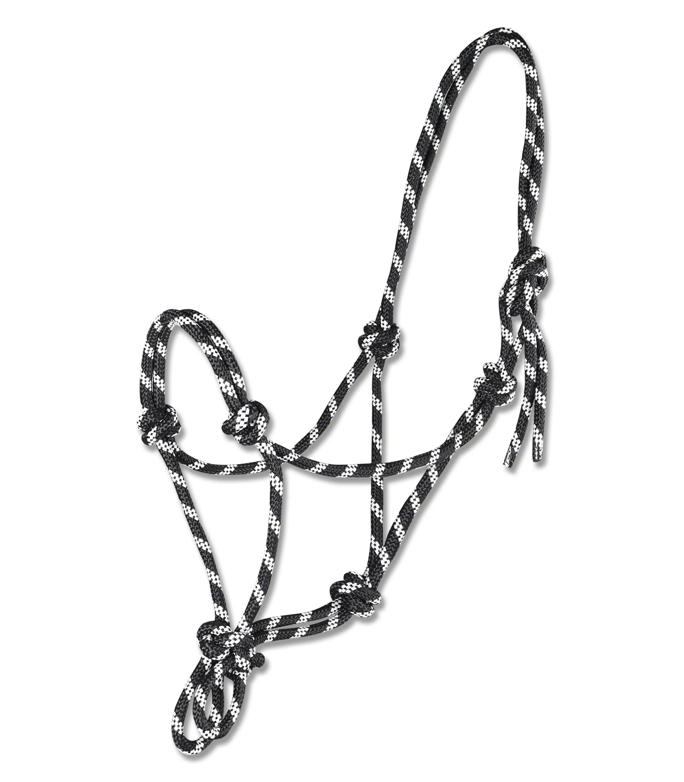 Waldhausen Licol à Nœuds pour Chevaux, Réglable en Continu, Sans Ferrure, FULL, noir/blanc