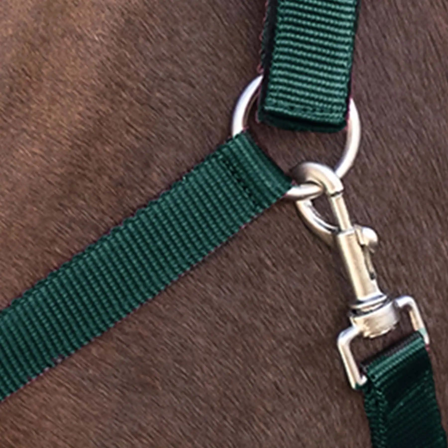 Licol Satin Waldhausen en Perlon, doublé doux et réglable, vert sapin, Shetty