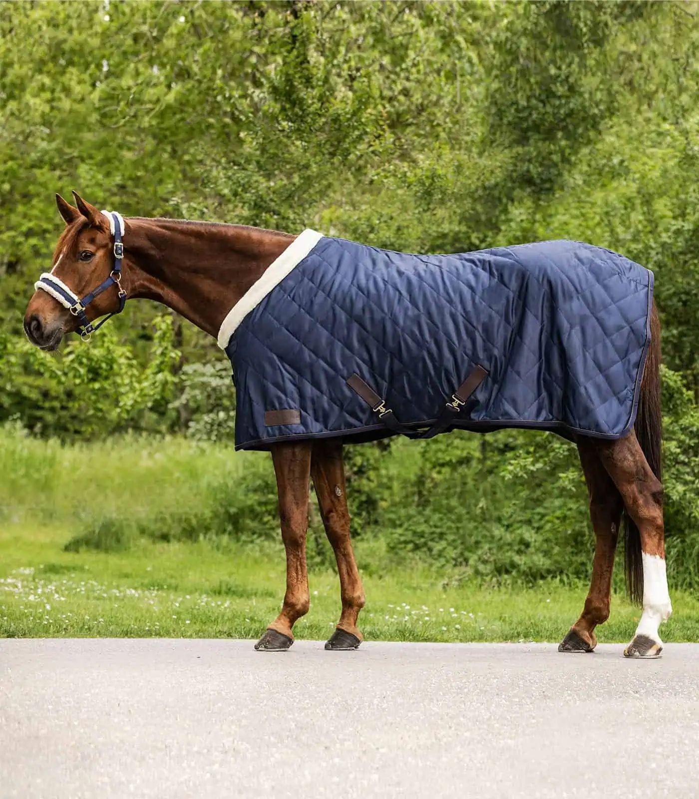 Waldhausen Transportdecke Exclusive Pferd, Kunstfell, 50 g Füllung, nachtblau, 135 cm