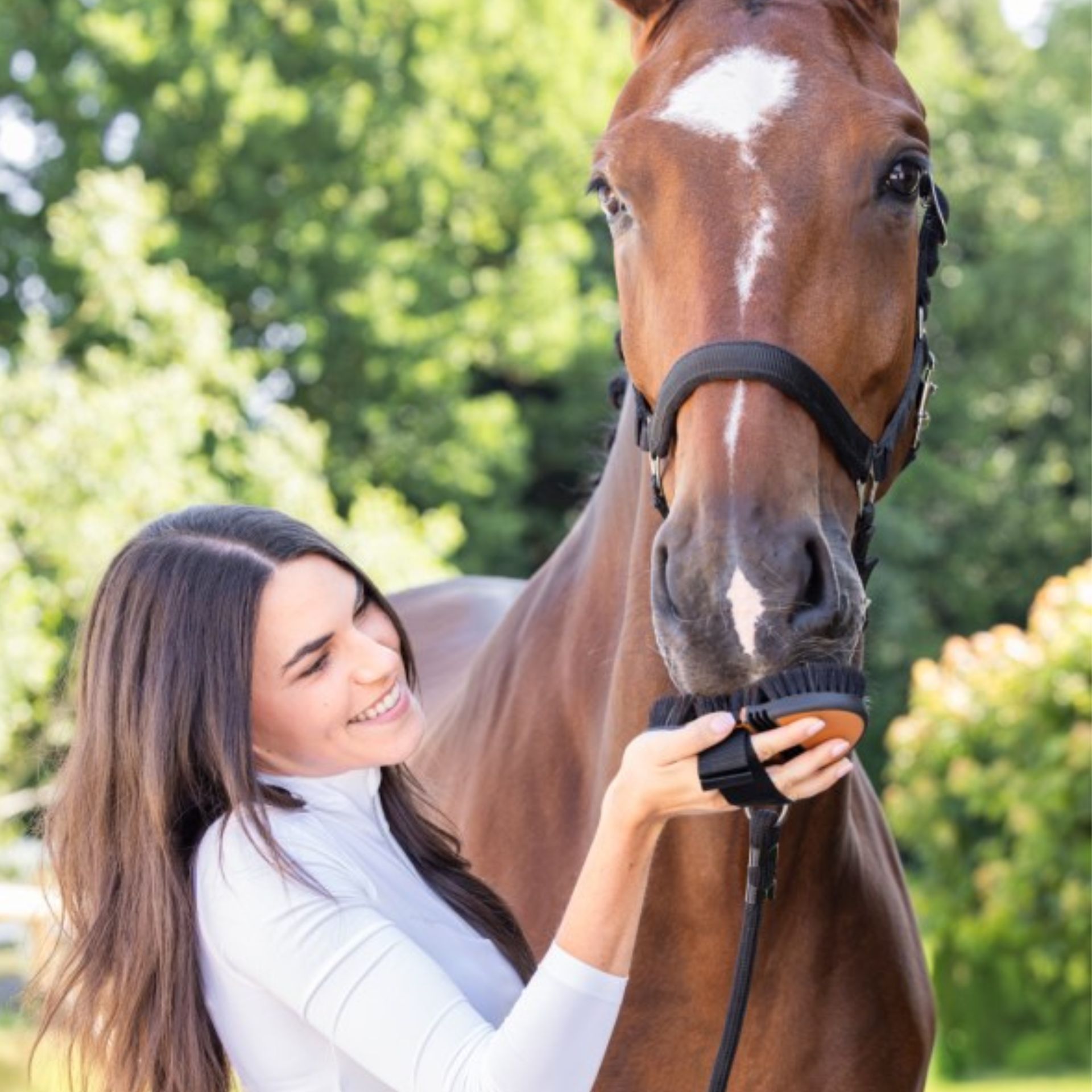 Covalliero Perie de cai Flex HorseHair 2K, cu peri din păr de cal, în utilizare