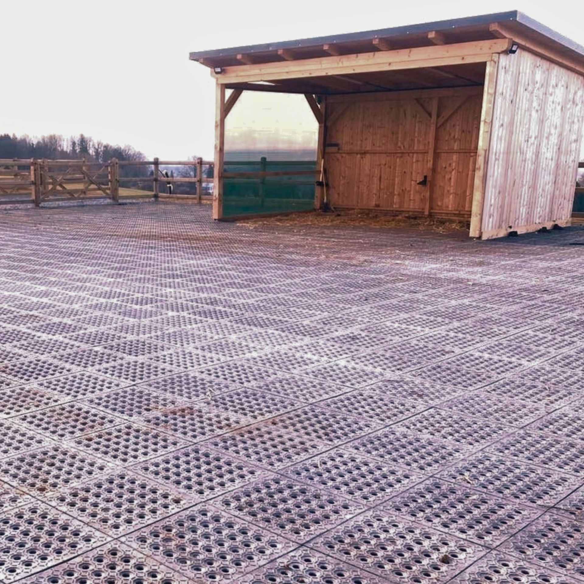 Reitplatz & Paddockplatte 50 x 50 x 5,3 cm, im Einsatz