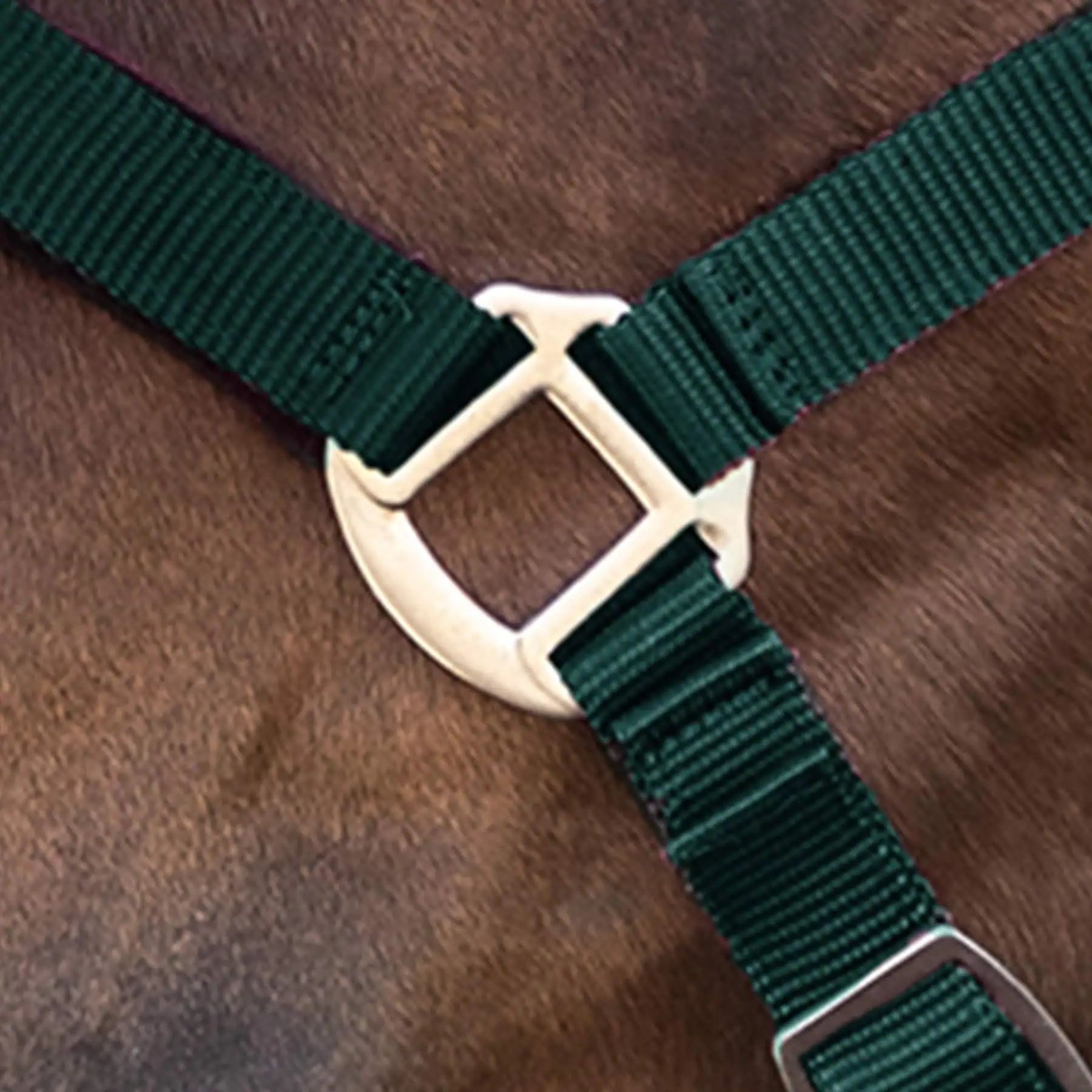 Licol Satin Waldhausen en Perlon, doublé doux et réglable, vert sapin, Shetty