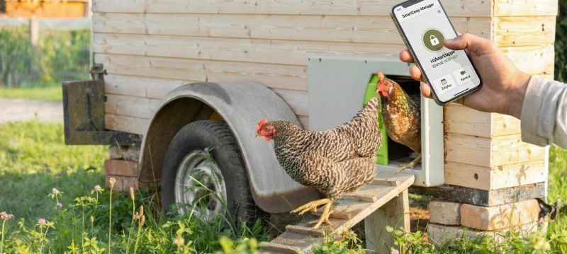 Chicken Door with App