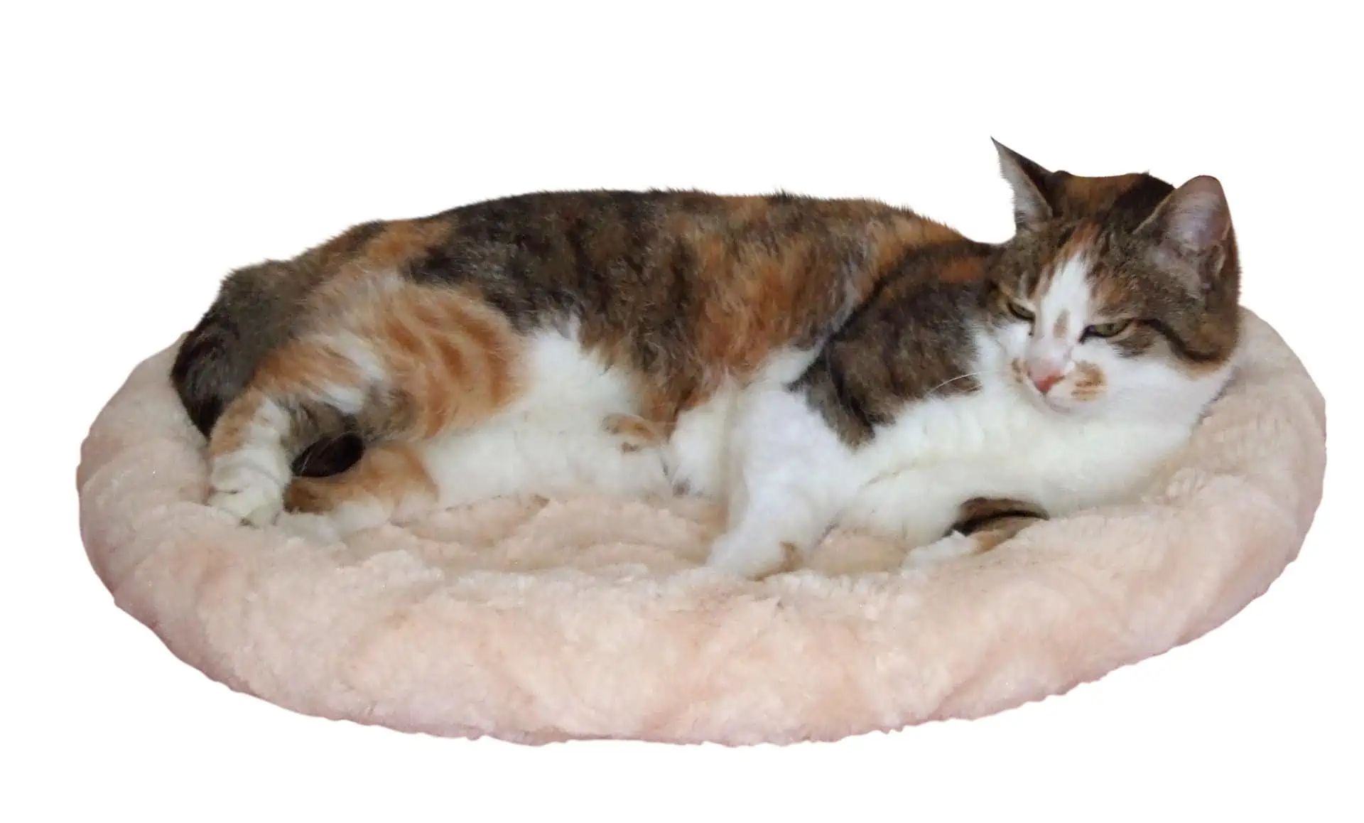 Kerbl Snugly Bed for Dogs & Cats, Reversible, 54x45 cm, in use