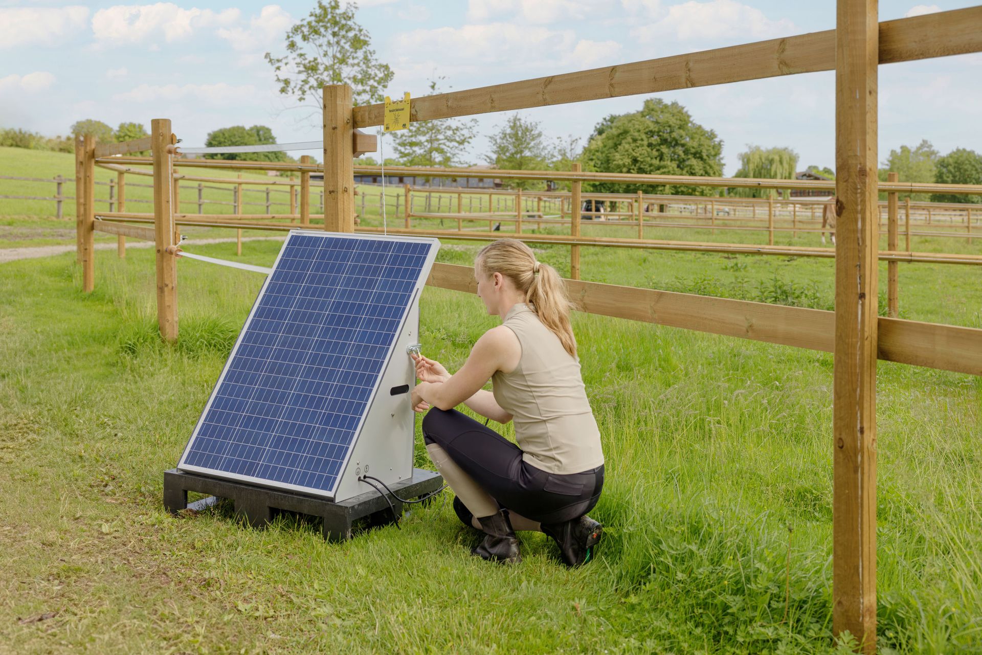 Kit complet électrificateur solaire AKO SolarStation L, 12 V, en utilisation, au pré