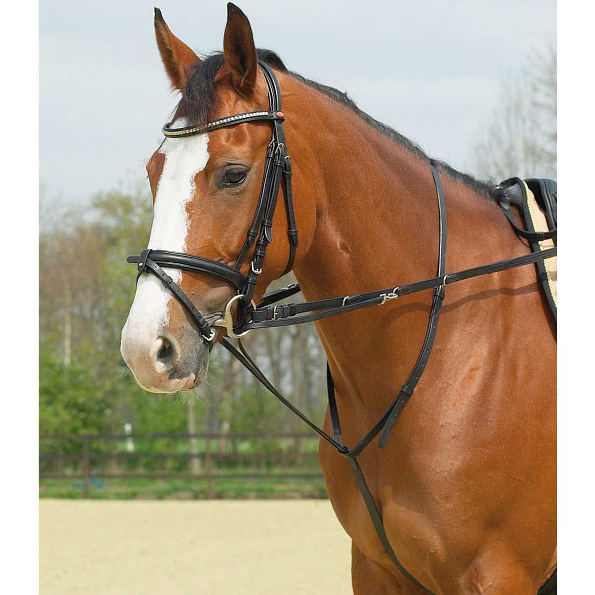 BUSSE Thiedemann-Kombination BASIC Kantárszár, Bőr, Állítható Hosszúság, Pony