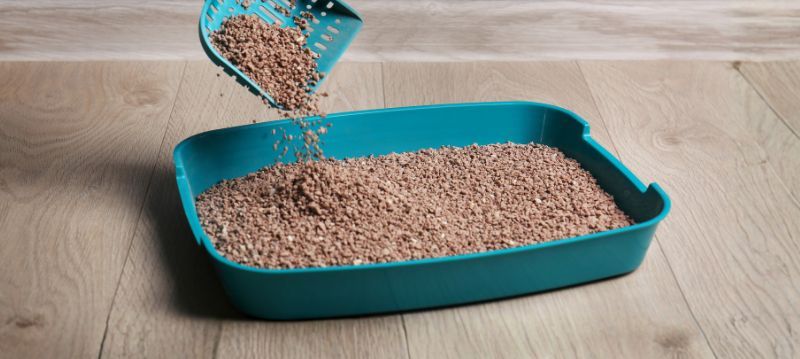 Bac à litière et accessoires pour chat