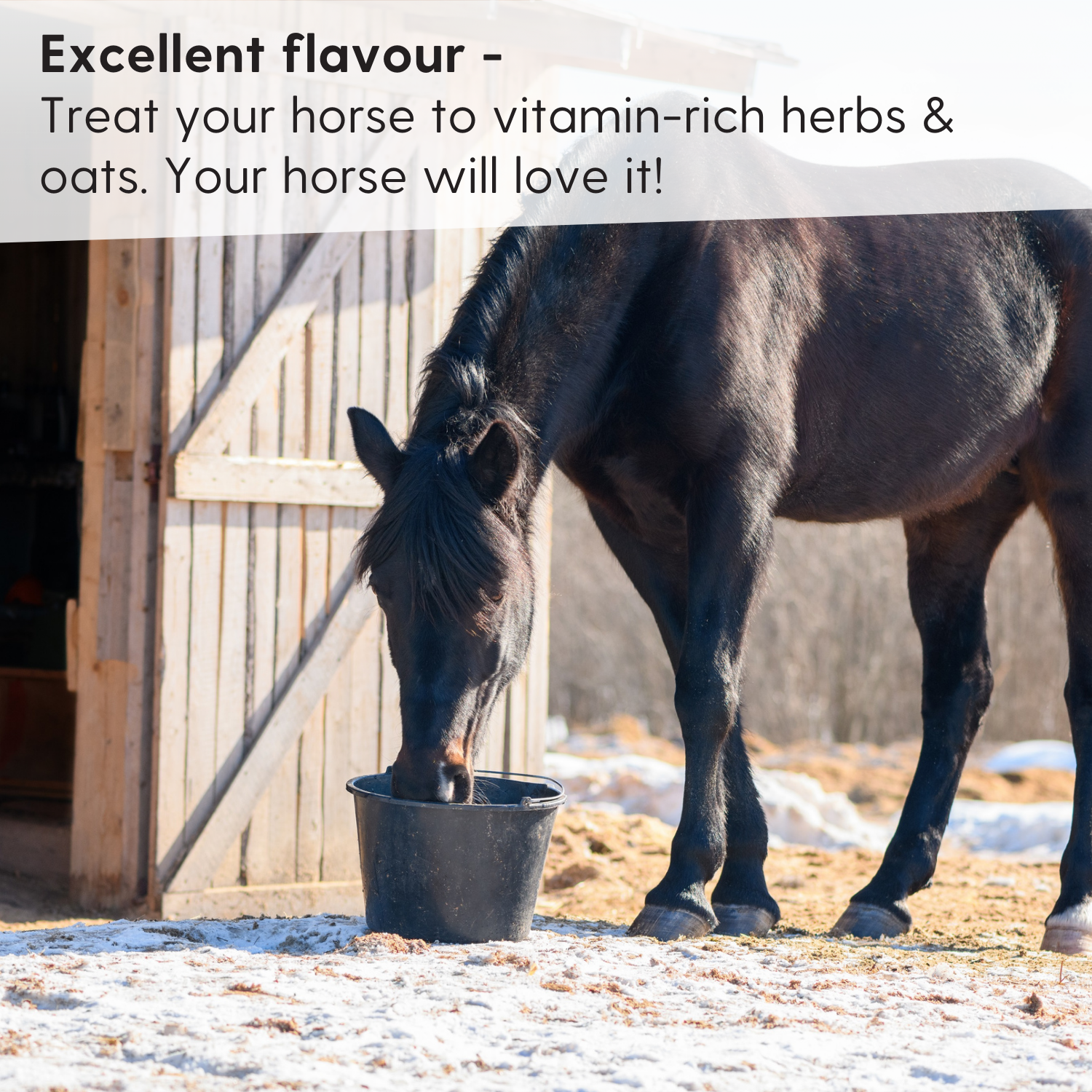 Leimüller Mélange de fruits pour chevaux avec herbes et avoine 20kg, en utilisation, à l'écurie