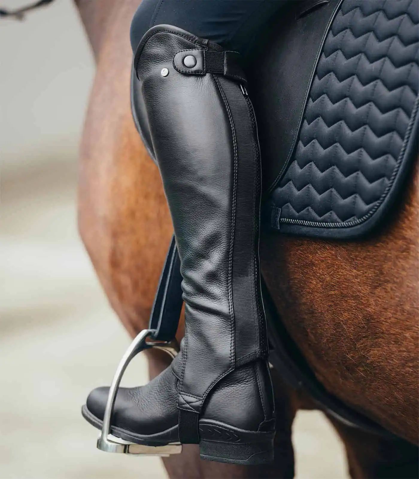 Chaps en Cuir ELT Classic, Cuir Pleine Fleur, Fermeture YKK, S