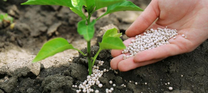 Fertilizzanti