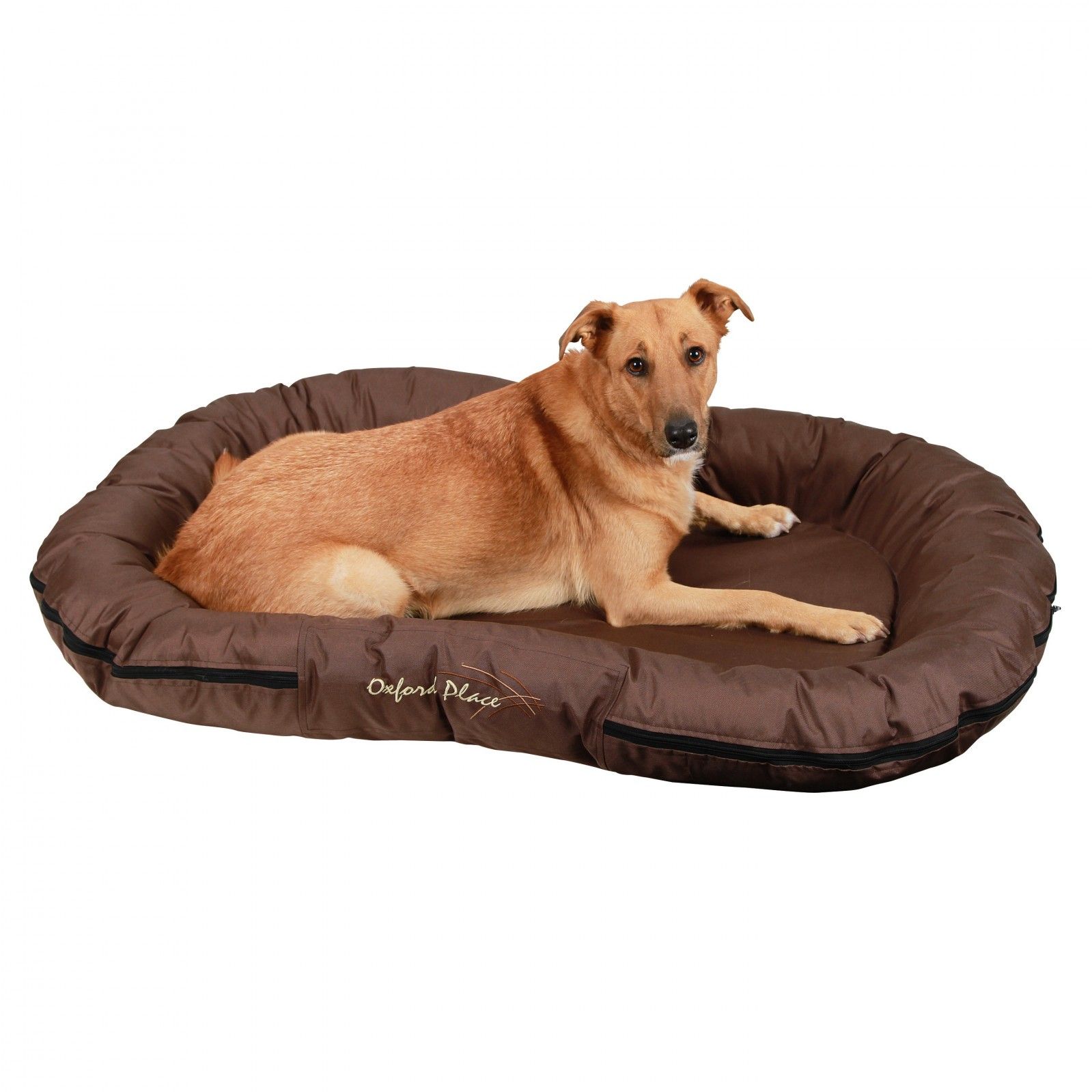 Kerbl Coussin pour chien OXFORD PLACE, imperméable, marron, 120x85x17 cm