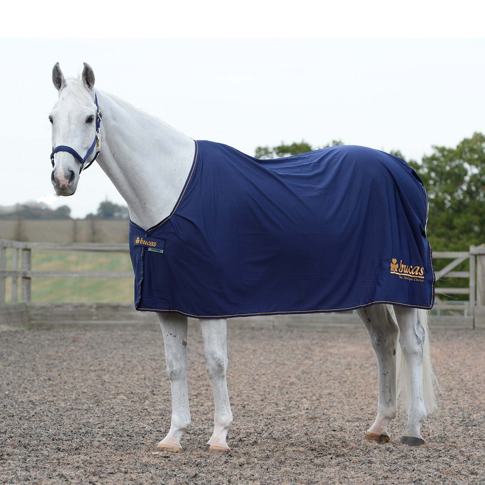 Bucas Power Prize Cooler Abschwitzdecke 125
