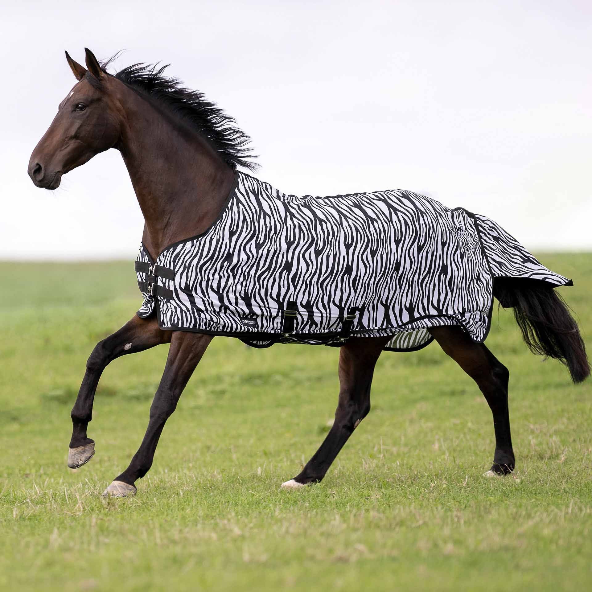 BUSSE Outdoor-Fliegendecke COMFORT FLEXI ZEBRA, Pferdedecke, im Einsatz, auf der Weide