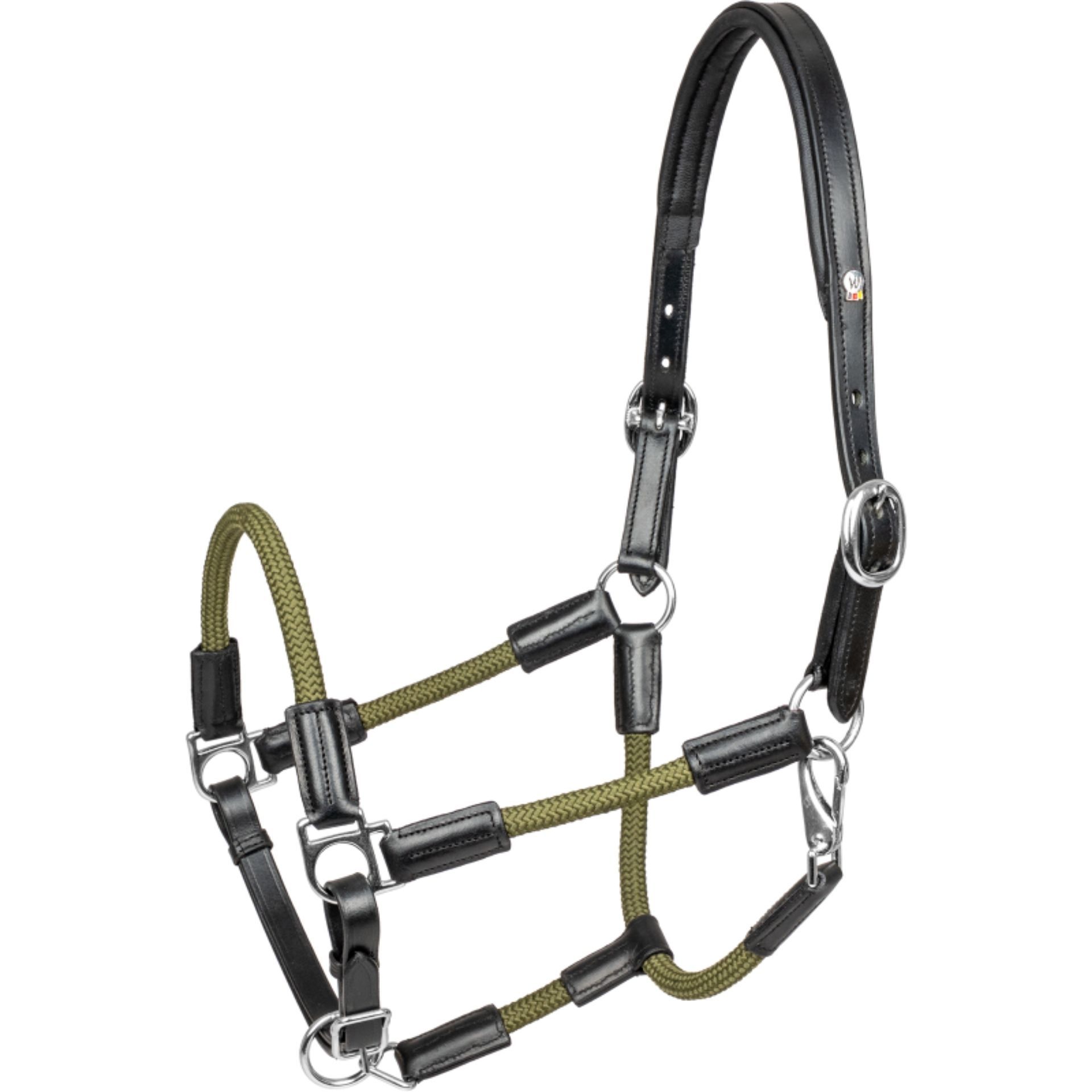 halter, horse, bridle, leather, studded