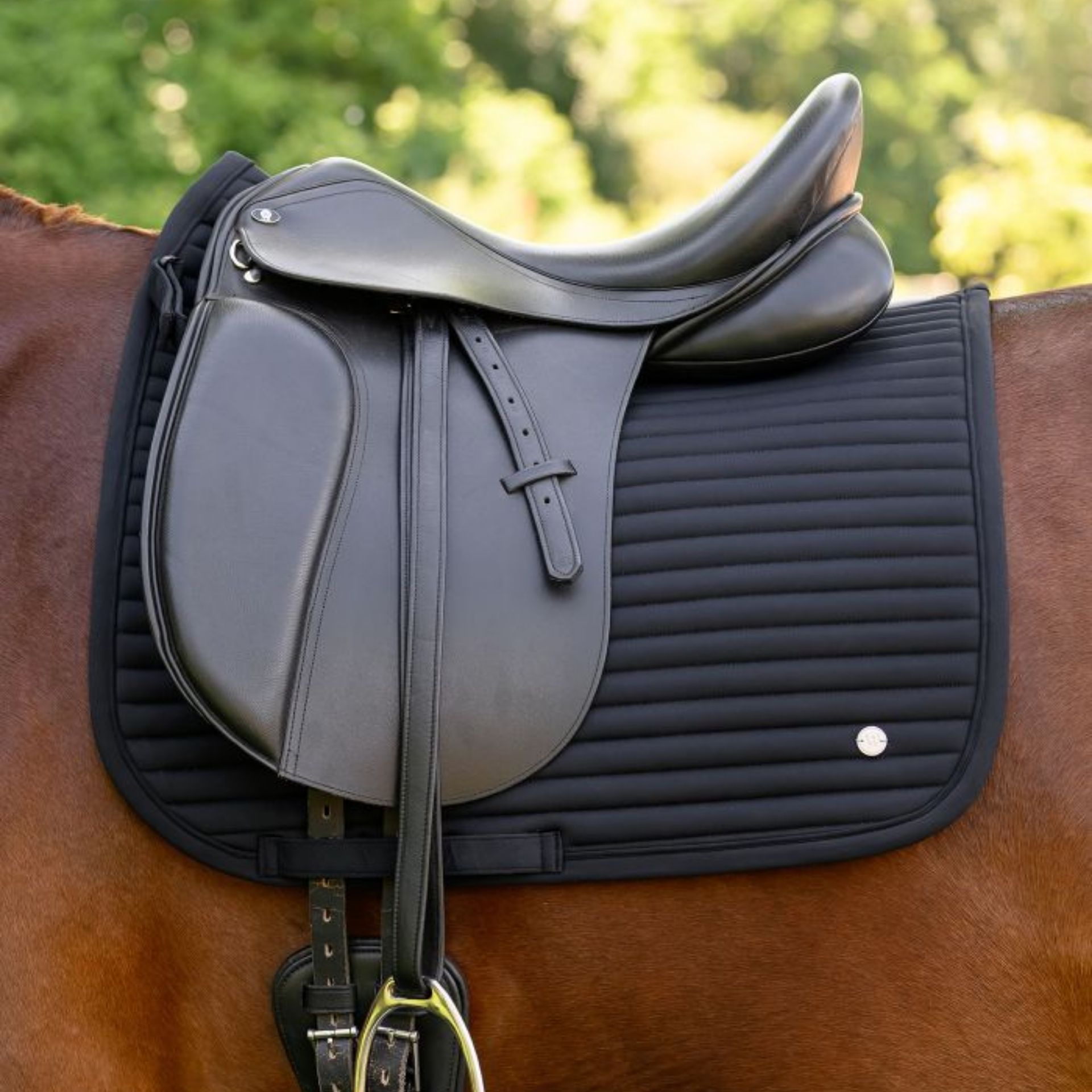 Sattel, Sattelunterlage, Steigbügel, Reitsport, schwarz