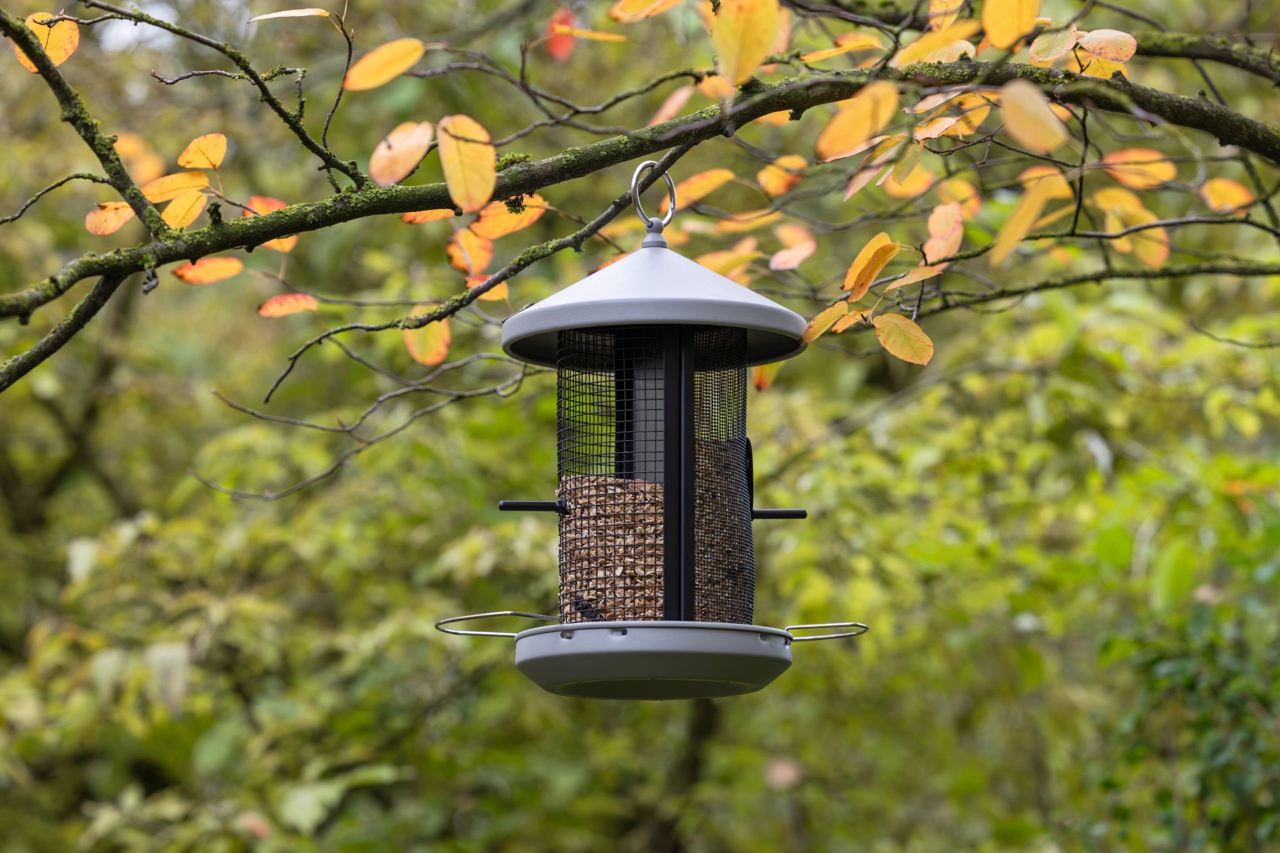 Vogelfutterspender, hängender Futterspender, Draht-Futterspender, Metall, Outdoor