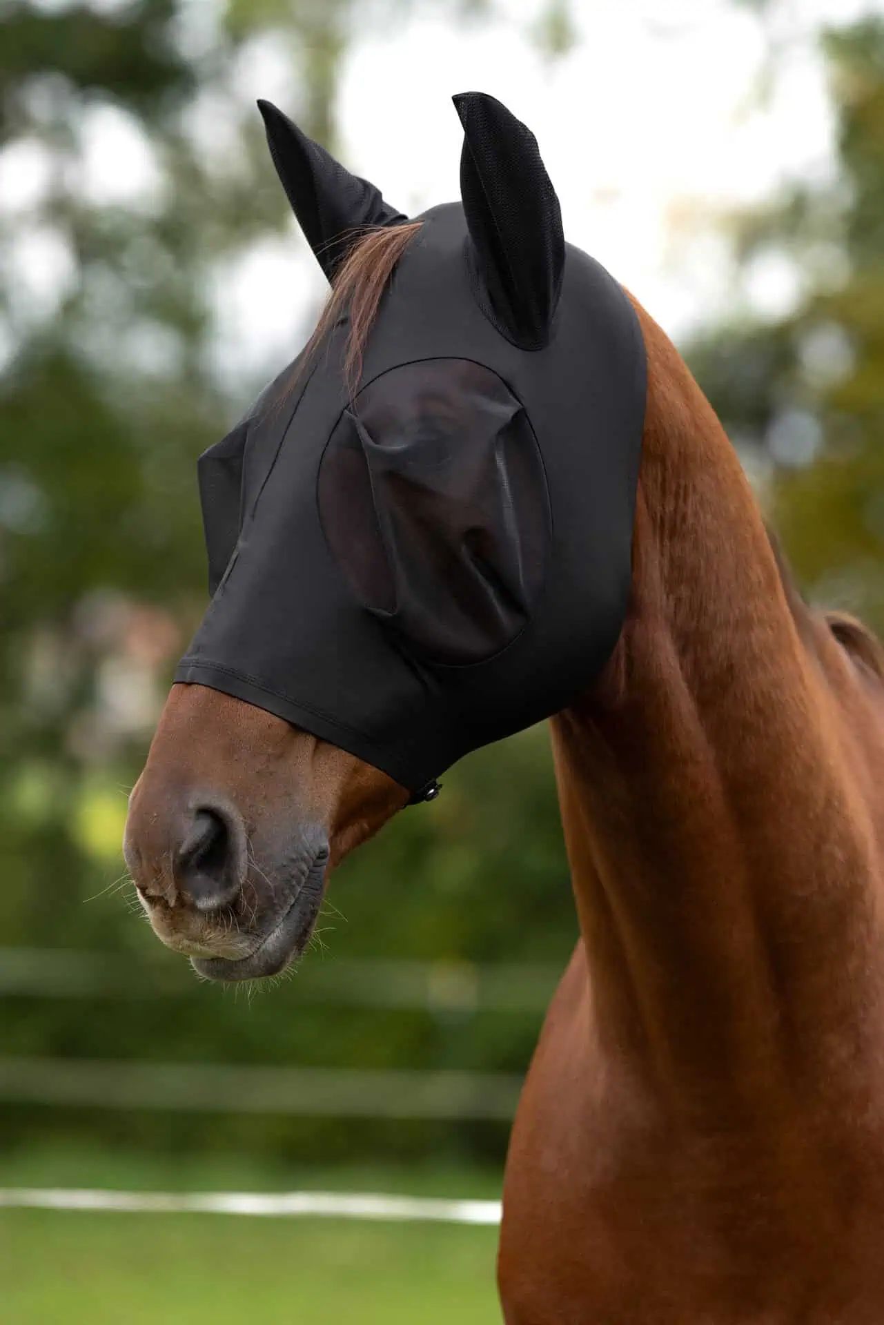 Covalliero Fly mask FinoStretch Zipper, black, pony