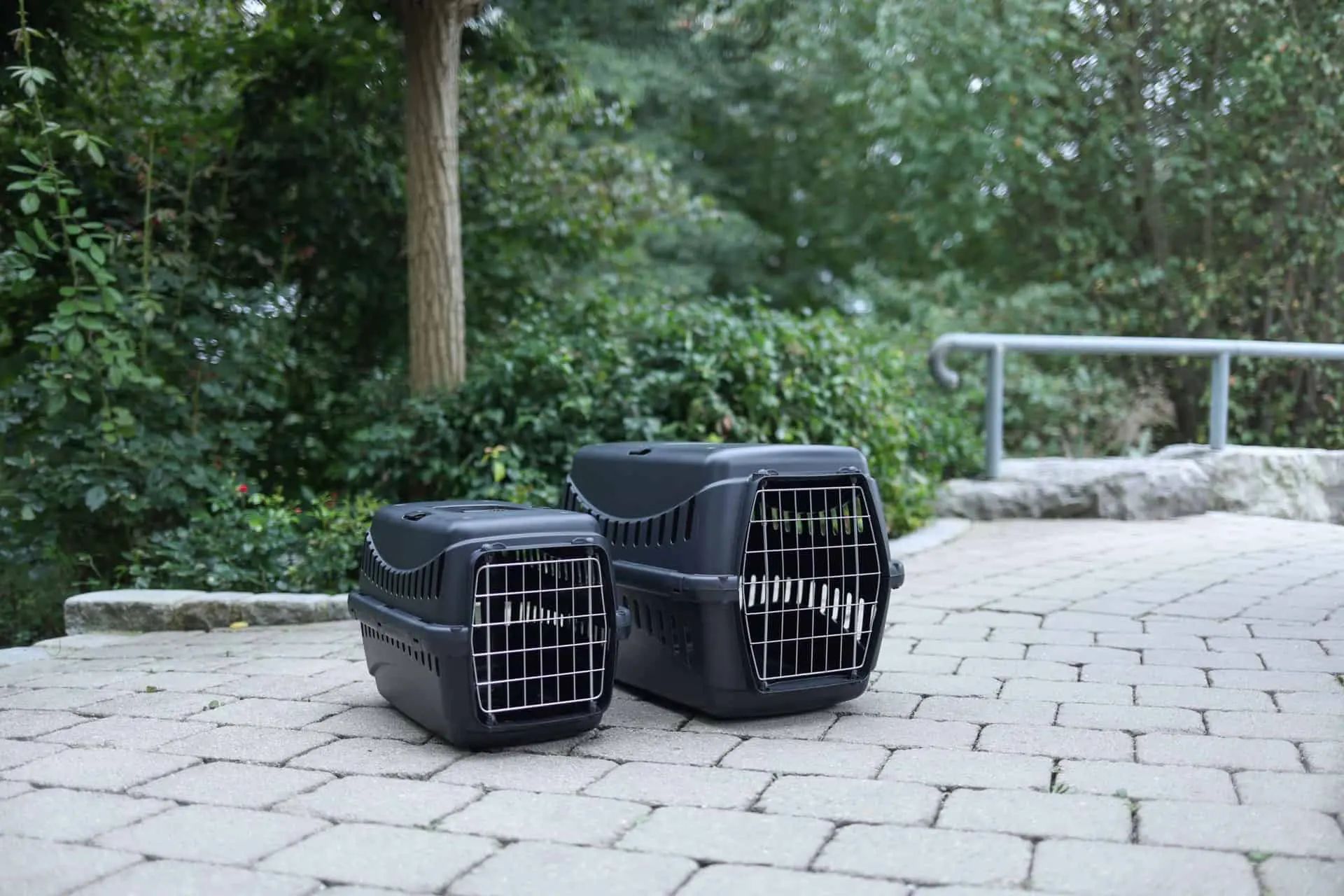 Kerbl Trasportino Expedion Eco per gatti e cani di piccola taglia, set