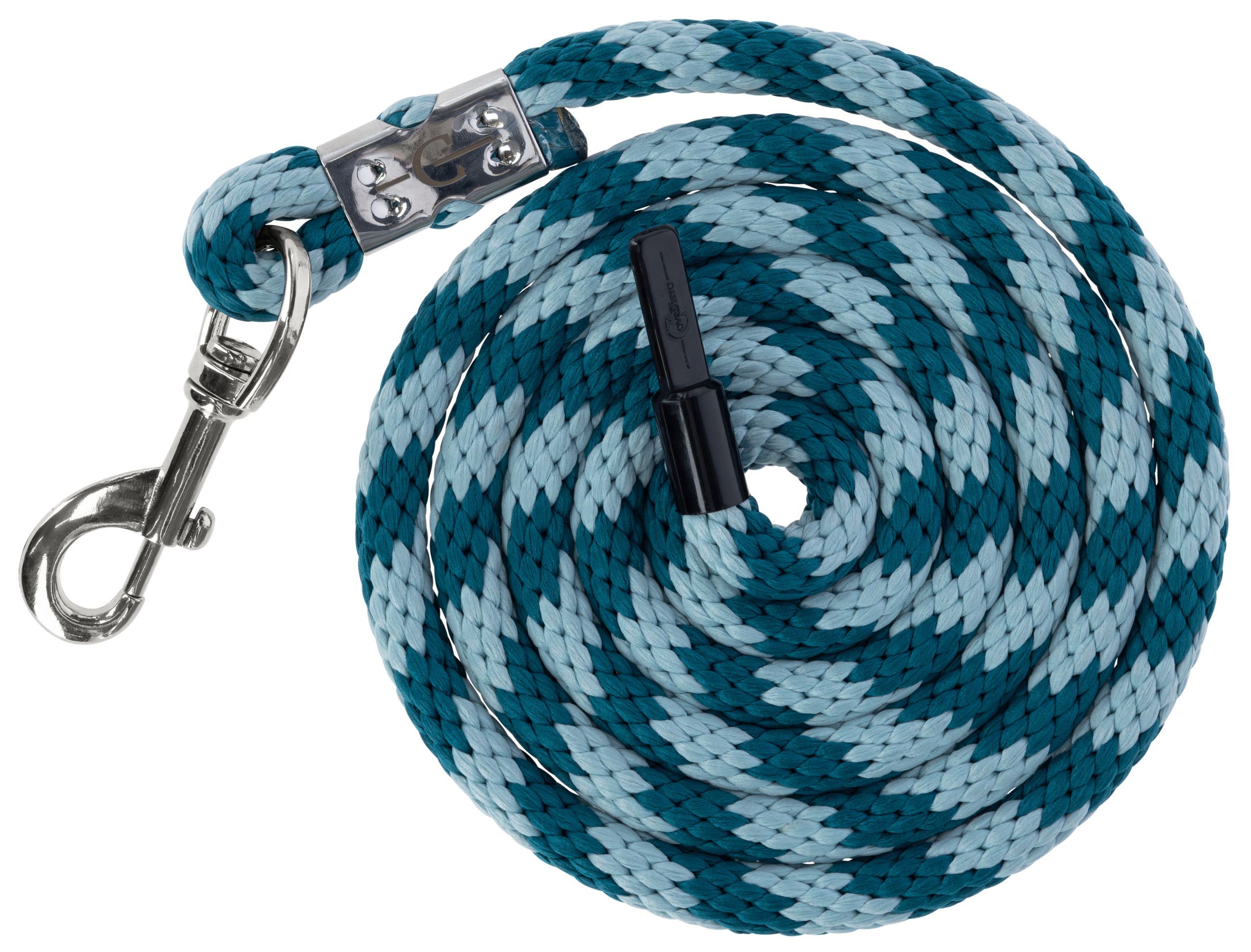 rope, leash, dog, braided, blue