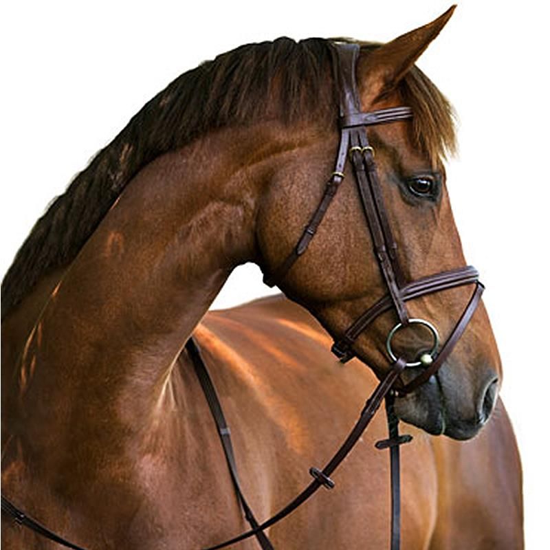 Kerbl Trensenzaum Classic Leder, braun – mit Ziernähten und Gurtzügel, Full