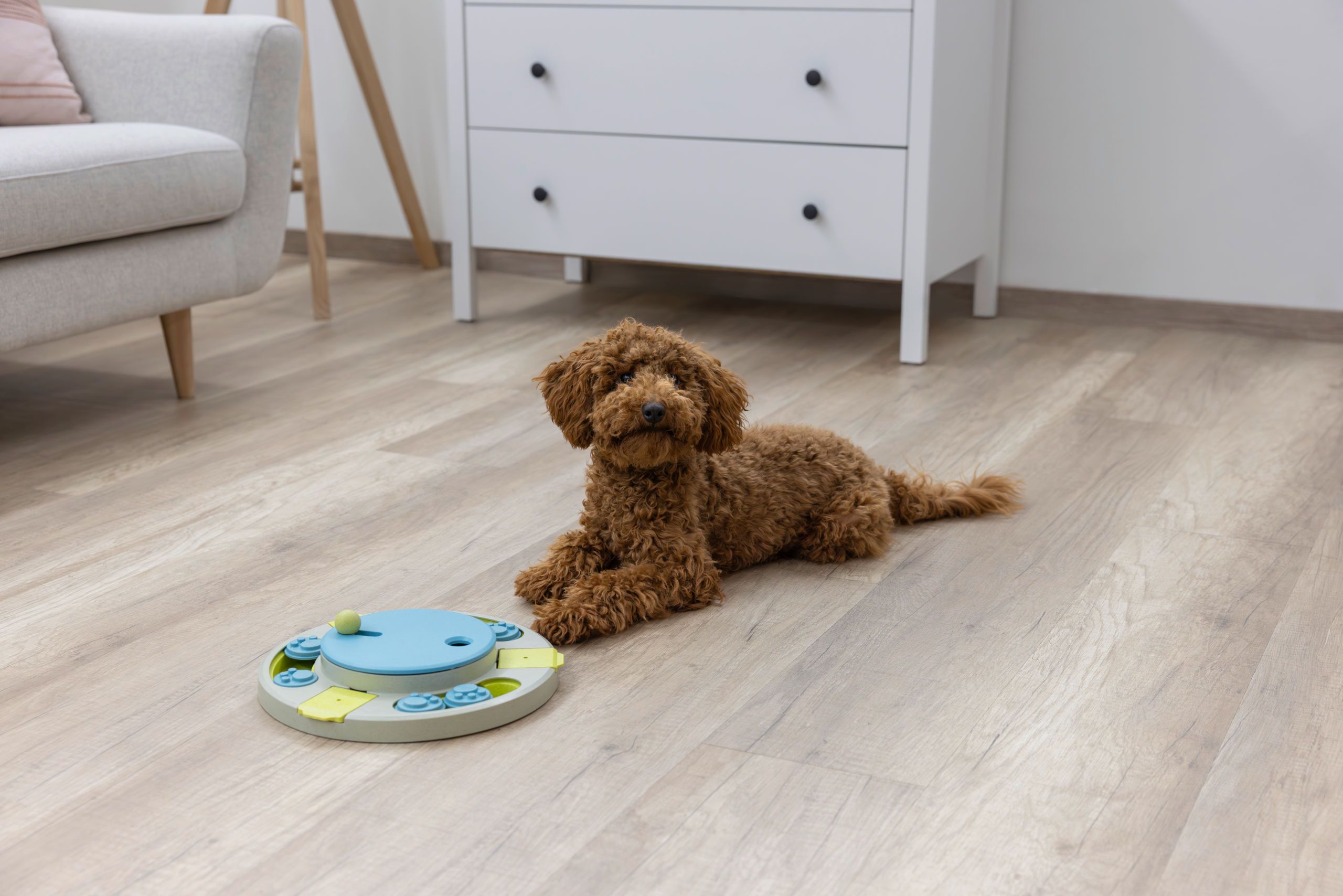 Kerbl Pet Intelligenzspielzeug Turnley Drehteller, Ø 27 cm