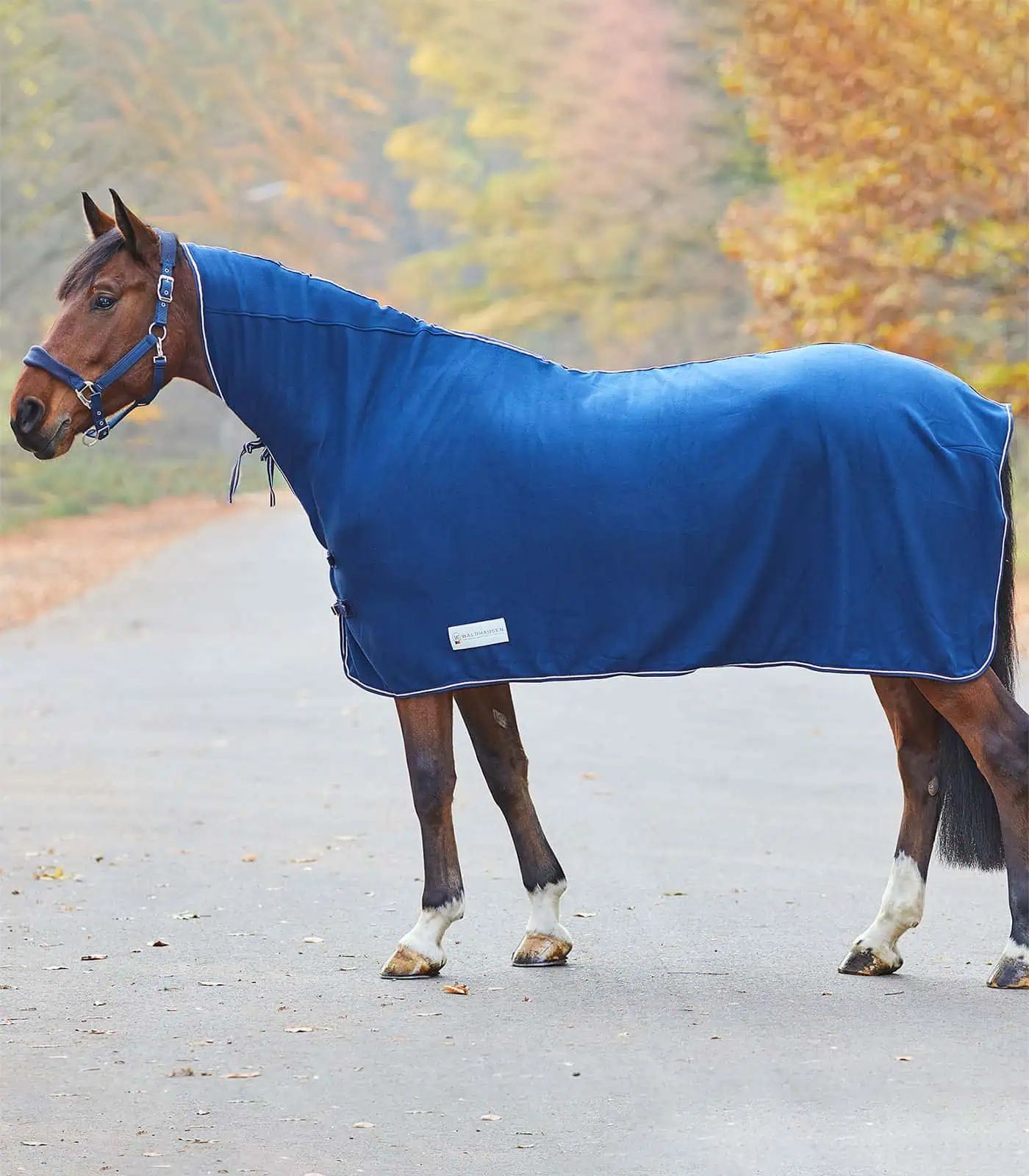 Waldhausen ECONOMIC Fleece Rug with Neck Cover, navy, warm & soft, in use
