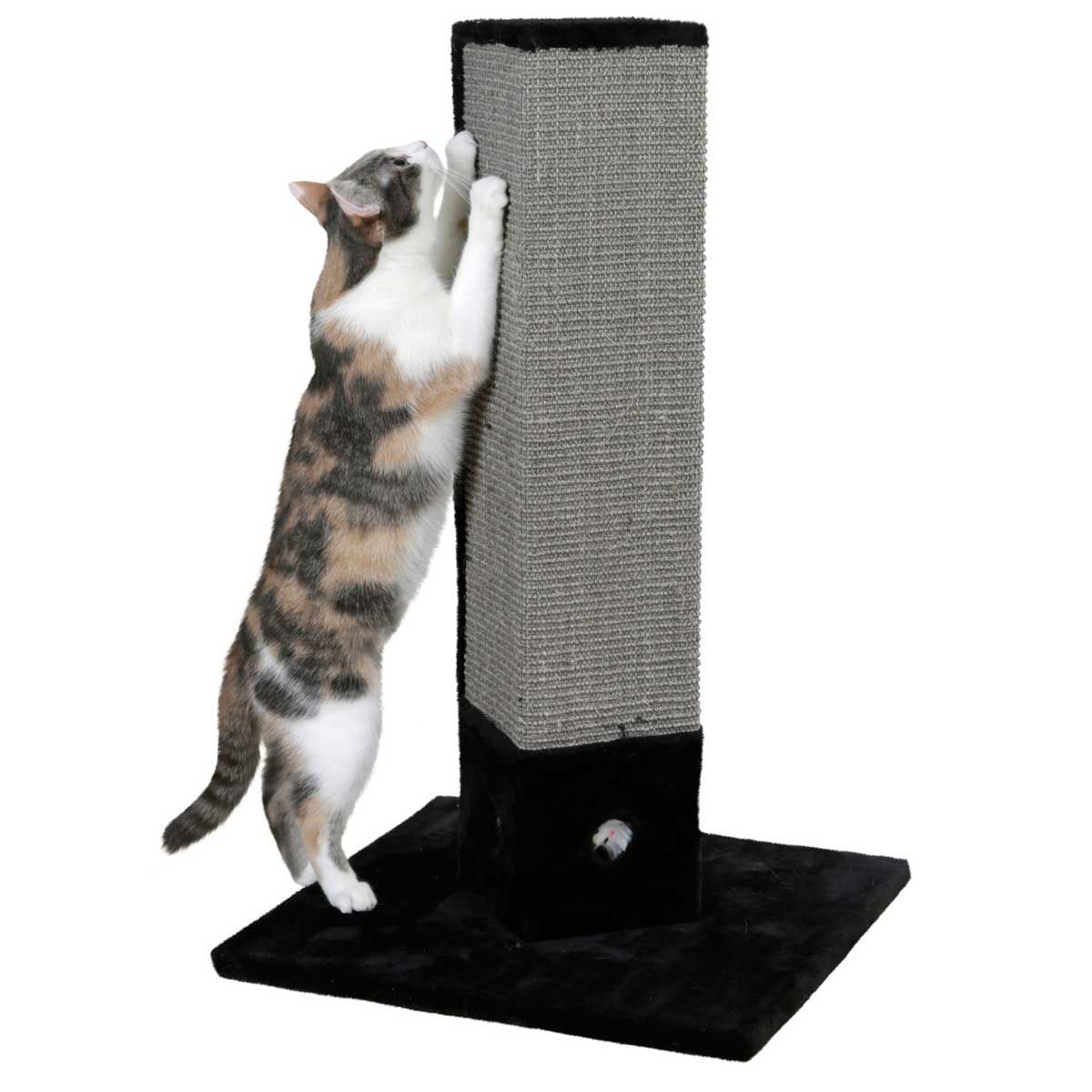 Kerbl Pet Griffoir Colonne 4-Corner Sisal, 80 cm, Noir, en utilisation