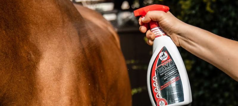 Protezioni dalle mosche per cavalli