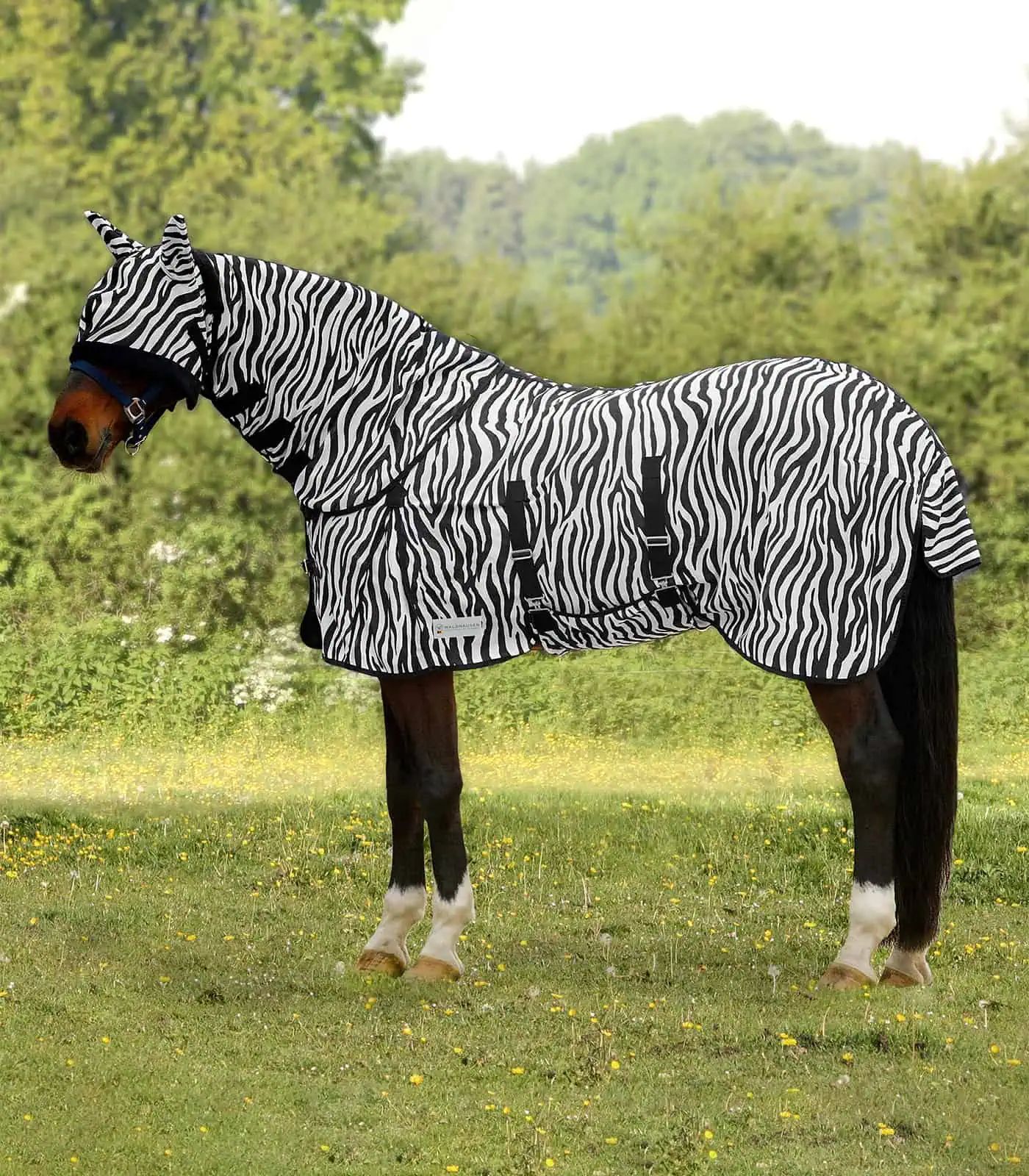 Chemise anti-mouches Zebra Waldhausen, maille fine avec rabats, 125 cm