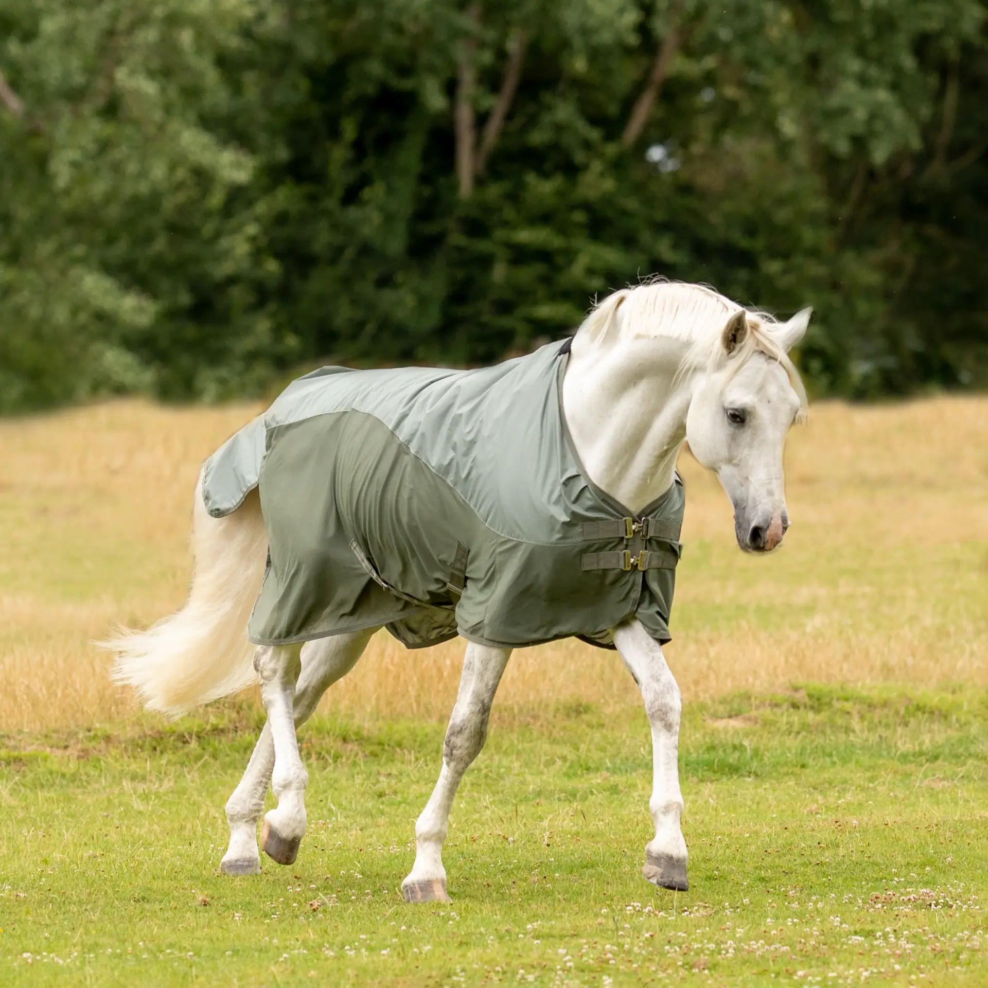BUSSE Outdoordecke RAINFLY, Regen- & Fliegendecke für Pferde, 155, helloliv