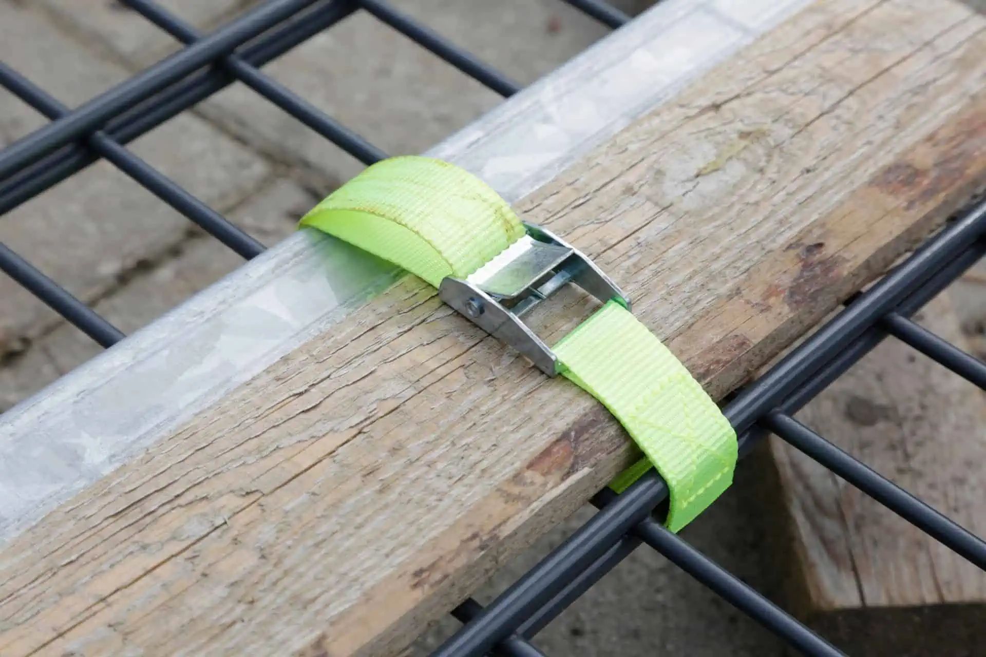 Kerbl Sangle de fixation rapide avec boucle de serrage, 125/250 kg, 6 pièces, en utilisation