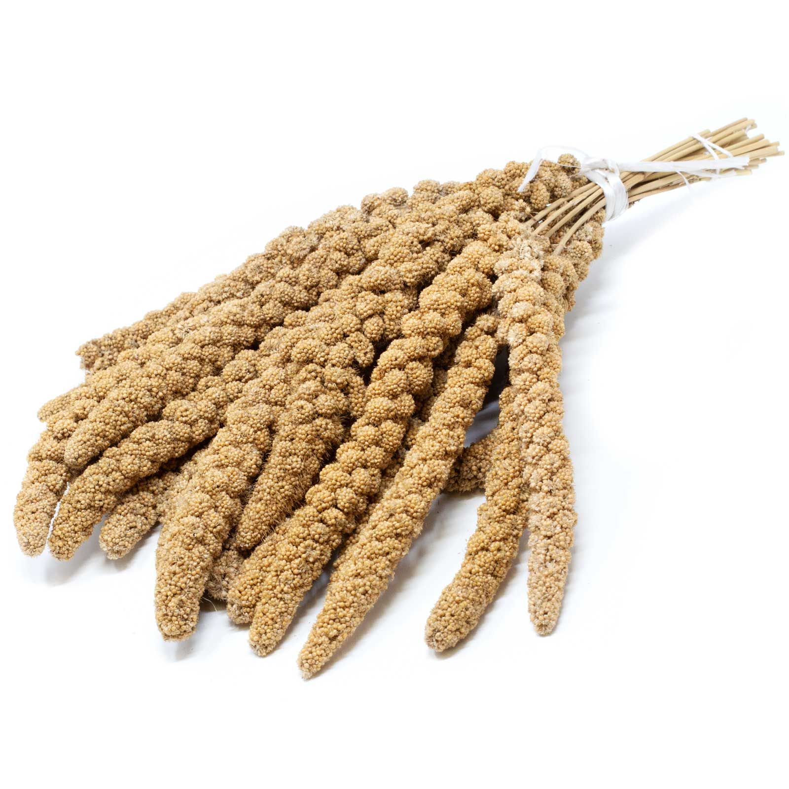 Leimüller Miglio giallo cinese a ramoscelli 5 kg
