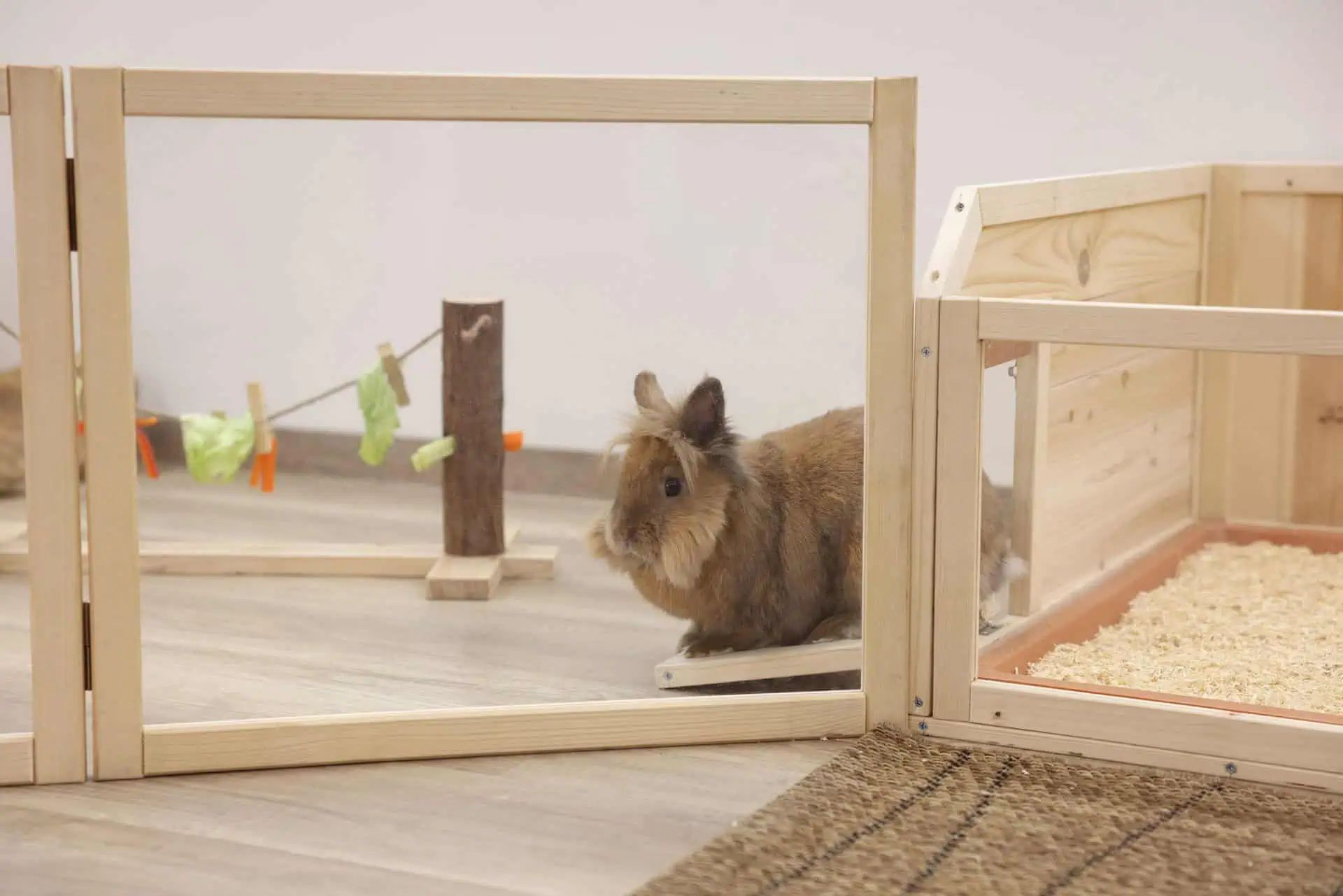 Kerbl Pet Recinto Divisorio da Interno per Piccoli Animali in Plexiglas, in uso