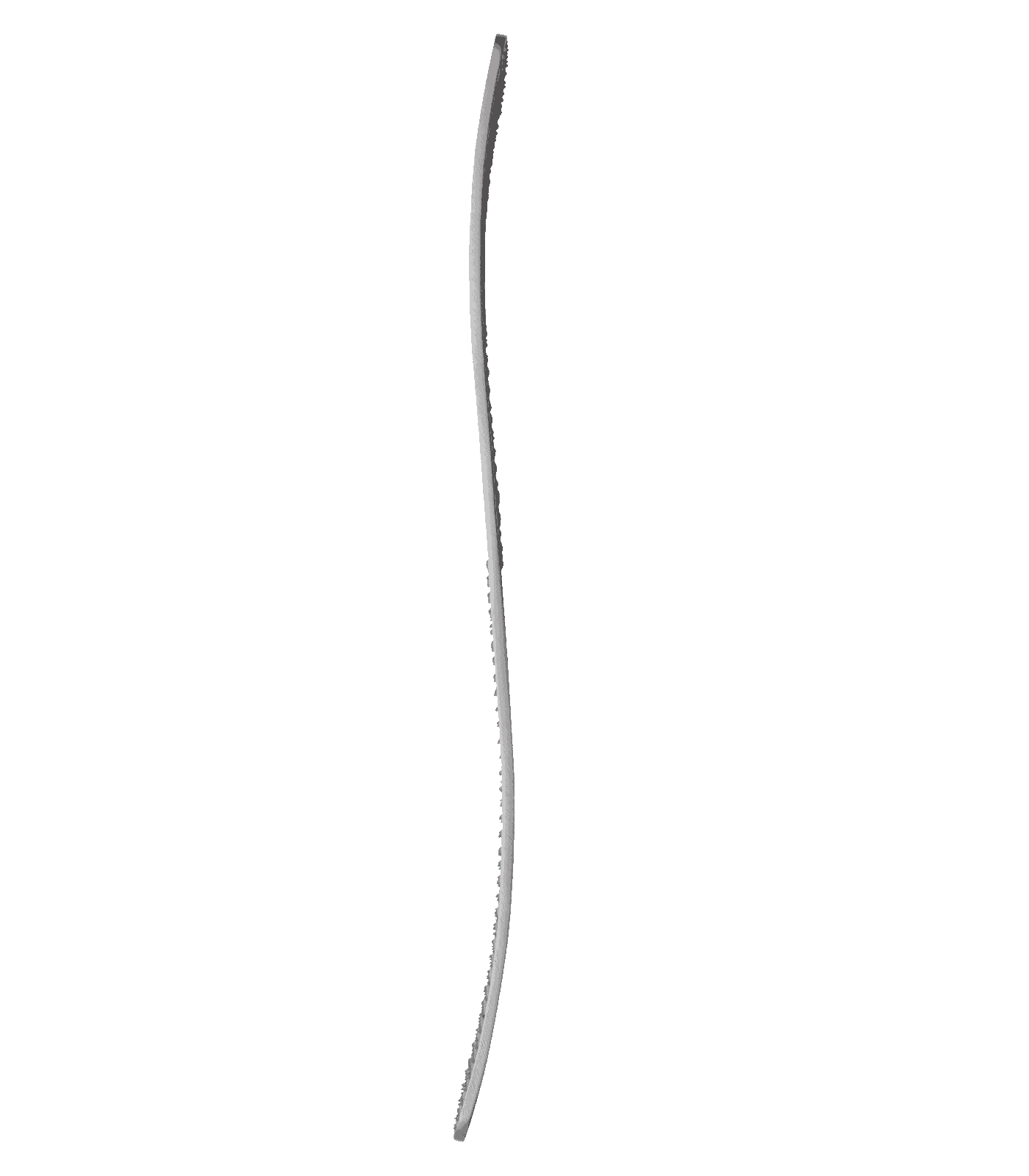 Waldhausen Raspa per zoccoli curva, acciaio inox, 30 cm, dentatura fine e grossa, prodotto sfuso