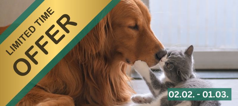 Valentine's Day Pet - Saleweeks