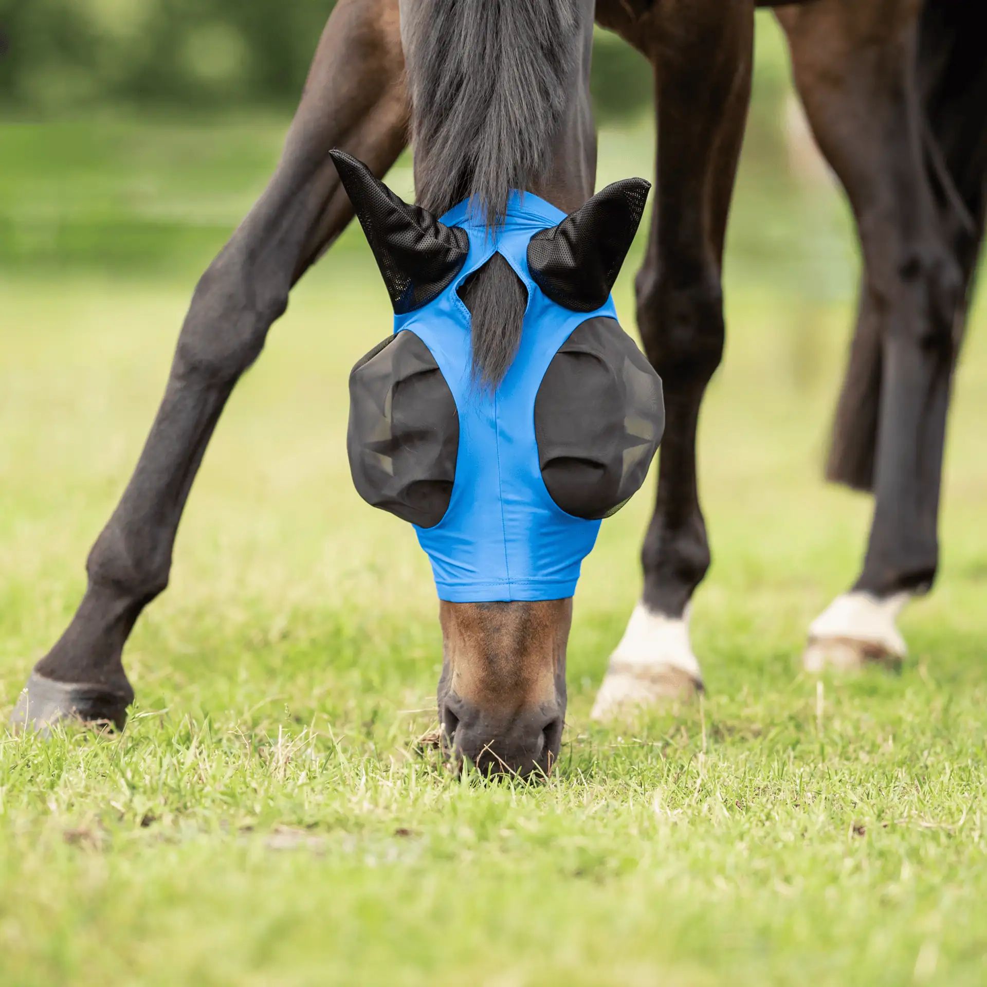 Masque anti-mouches BUSSE TWIN FIT FLEXI, protection yeux/oreilles, Shetty royal summer