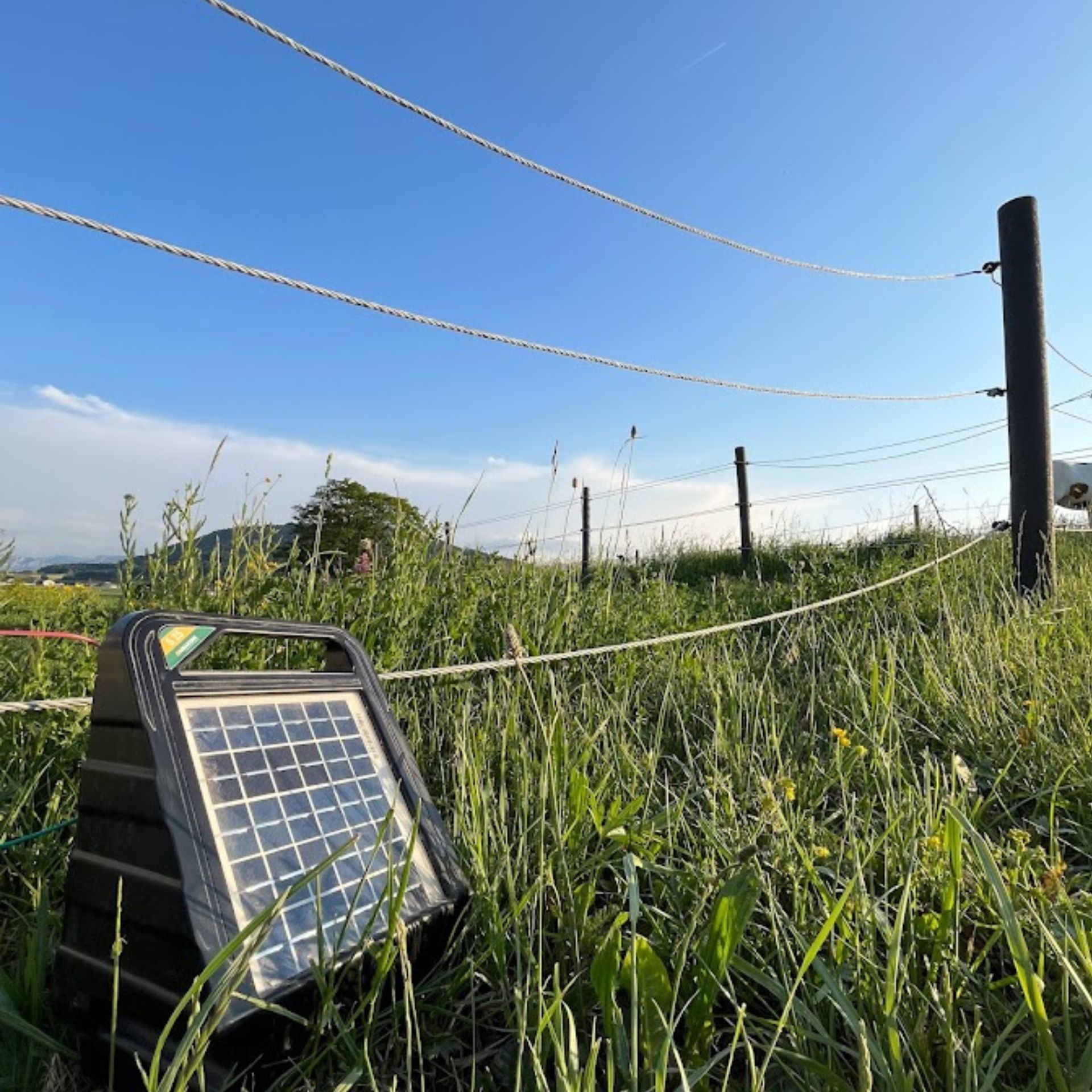 Produktbild von Agrarzone S25 Weidezaungerät SOLAR 3W, 12V, 0,40J – 10.500V, Mit Akkumanagement, Für Zäune Bis 3 Km