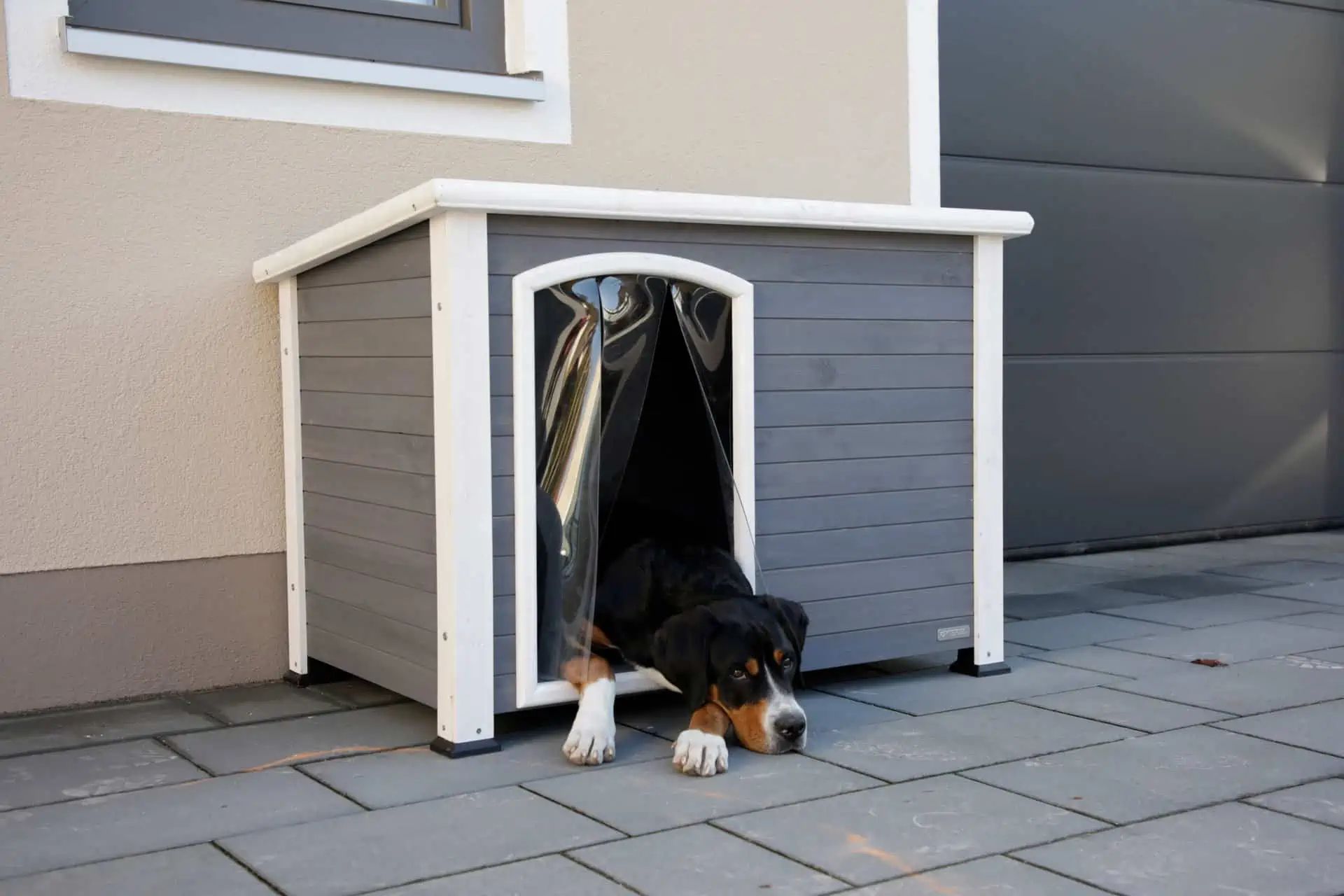Kerbl Kenny kutyaház, szürke/fehér, 113 x 77 x 81 cm, bitumen tető, használat közben