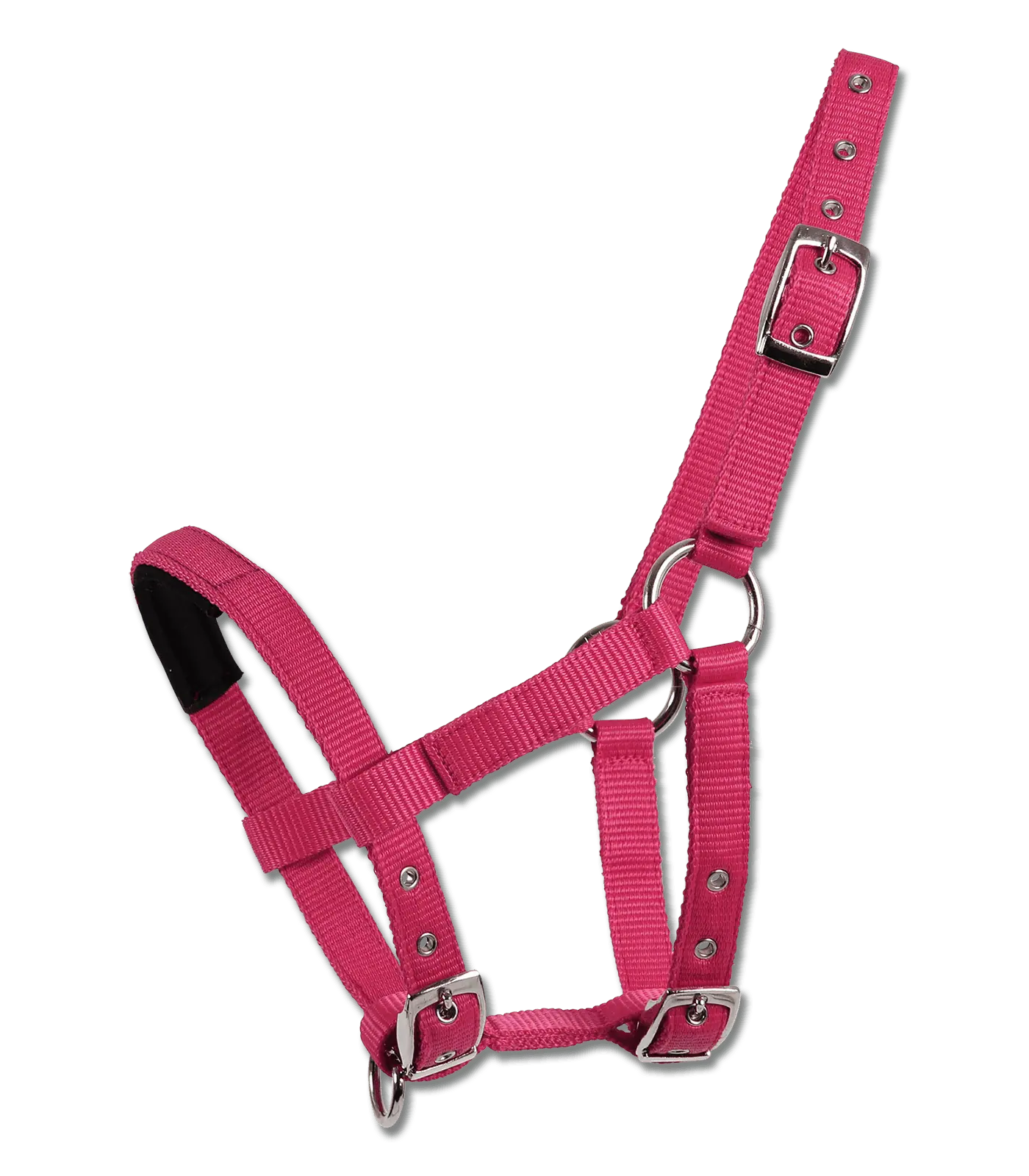 Waldhausen Mini-Shetty Halfter, weich gepolstert, verstellbar