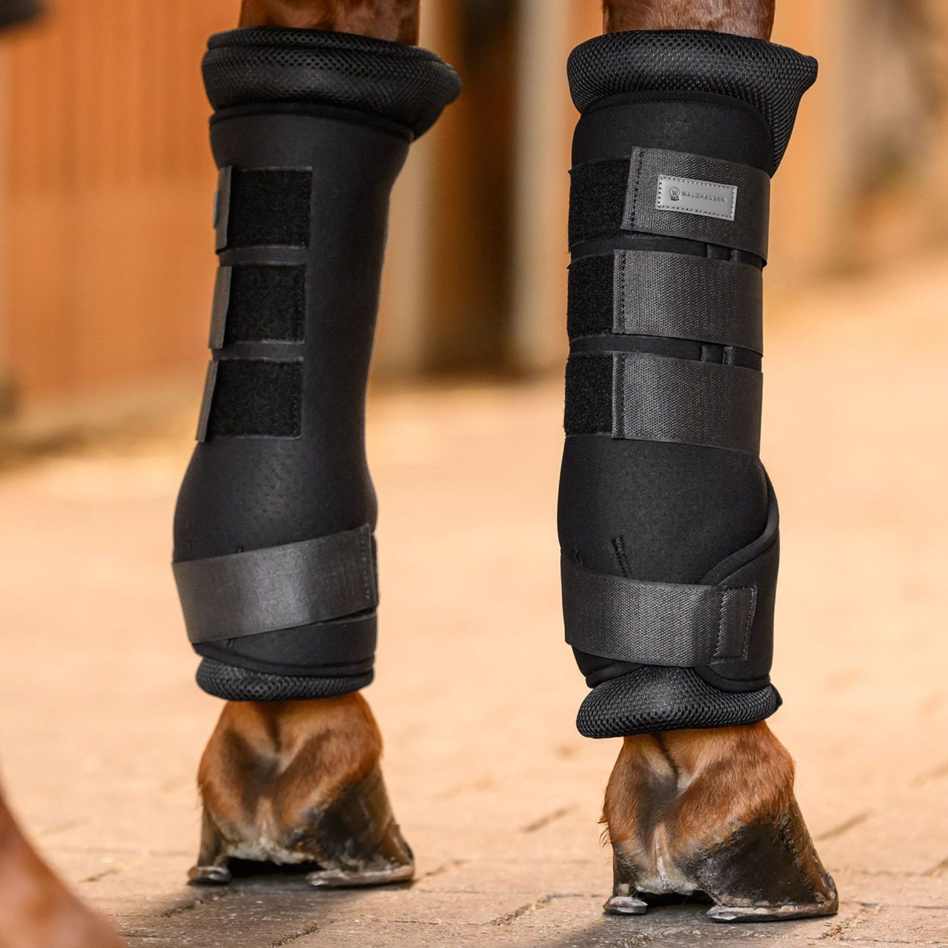 horse, leg wraps, protective boots, front legs, stirrup length