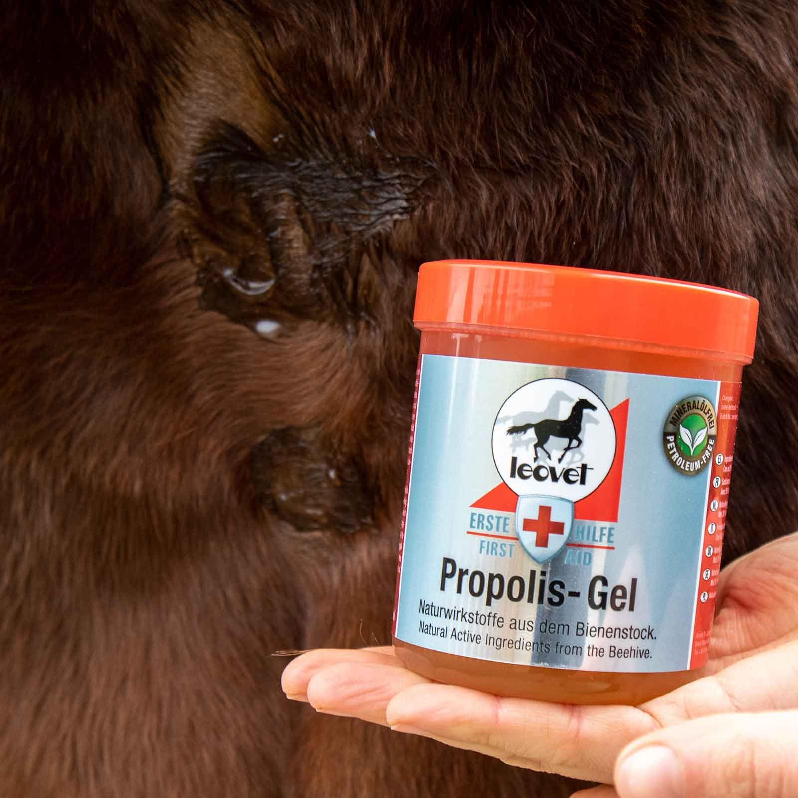 leovet Propolis Gel for Horses, 350 ml Skin Care Beehive, in use, held in hand