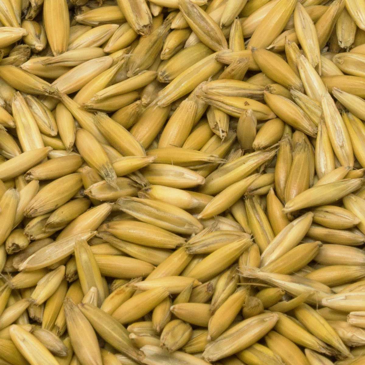 Leimüller Bio egész zab, 20 kg
