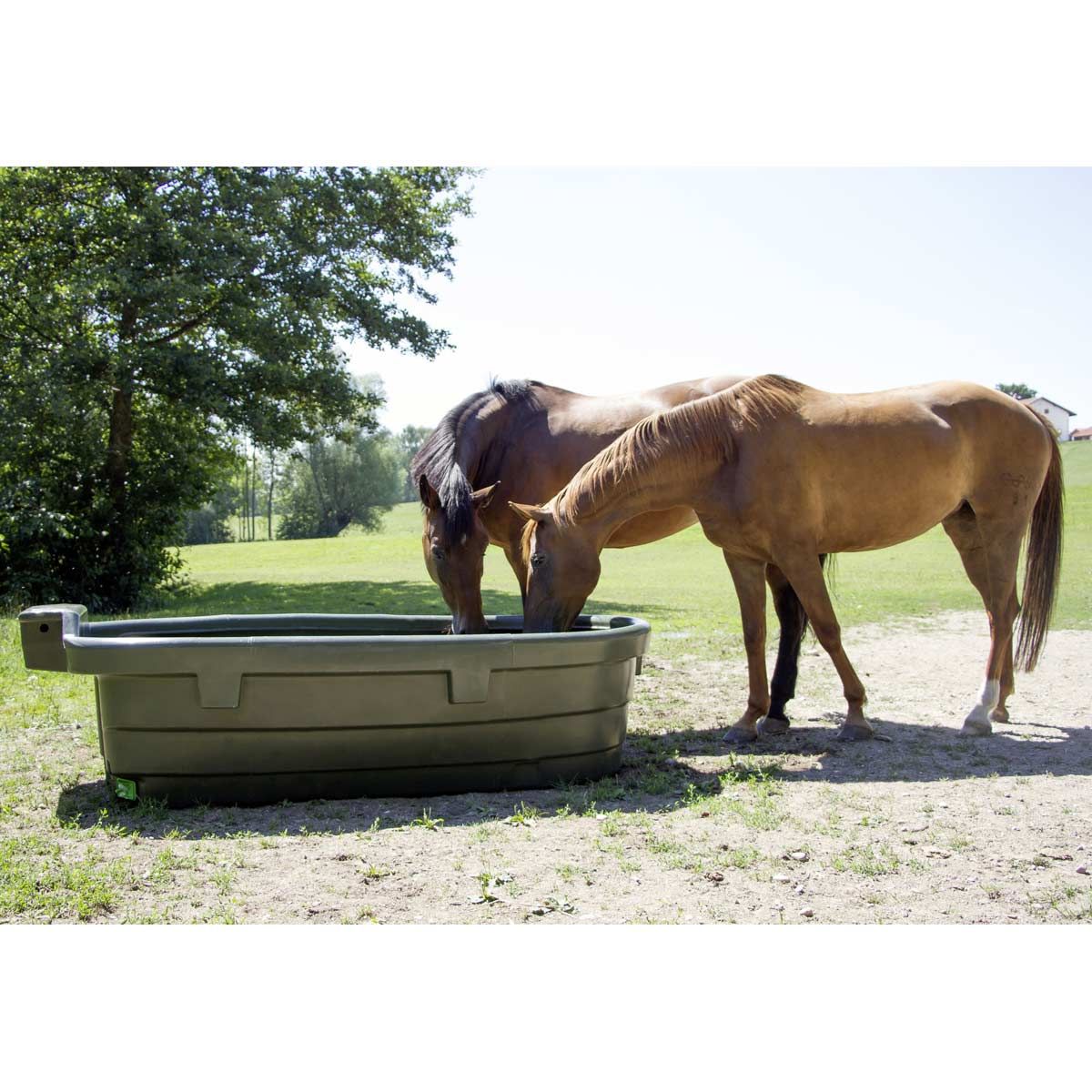 Water Trough 1000 L
