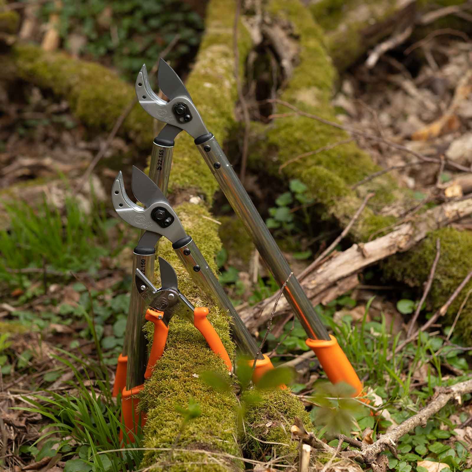 Ciseaux de chasse Löwe - 21 cm, en utilisation