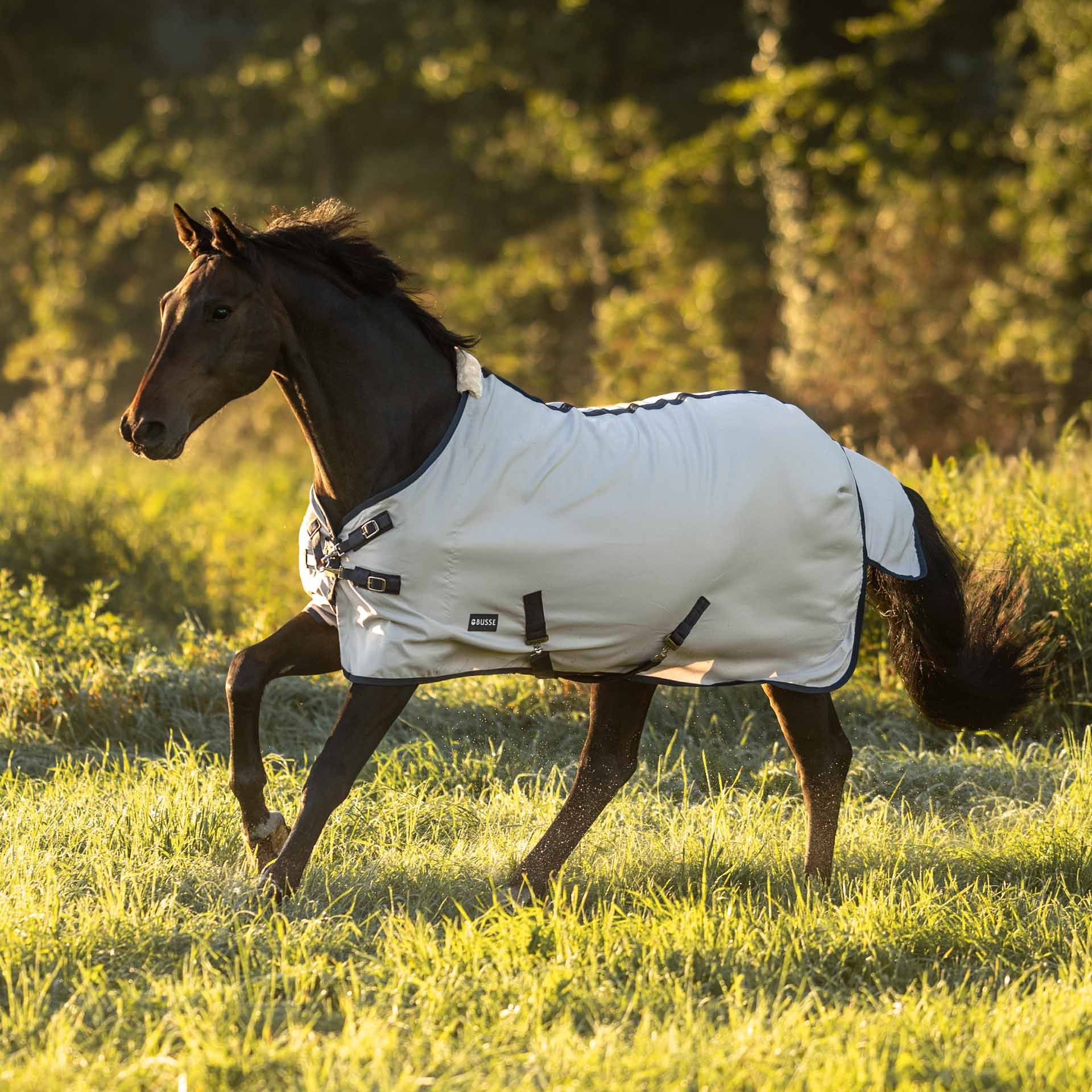 BUSSE Coperta estiva EARLY SEASON, traspirante, resistente, in uso, al pascolo
