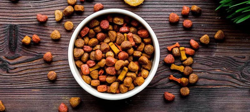 Nourriture sèche pour chien