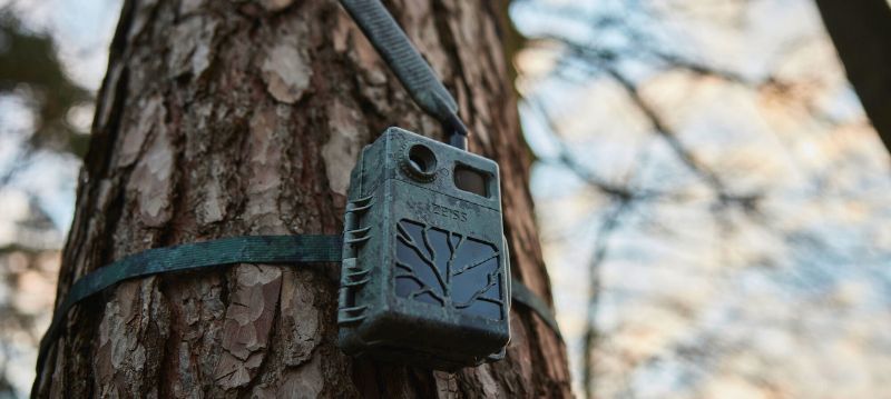 Zeiss Fototrappole per fauna selvatica
